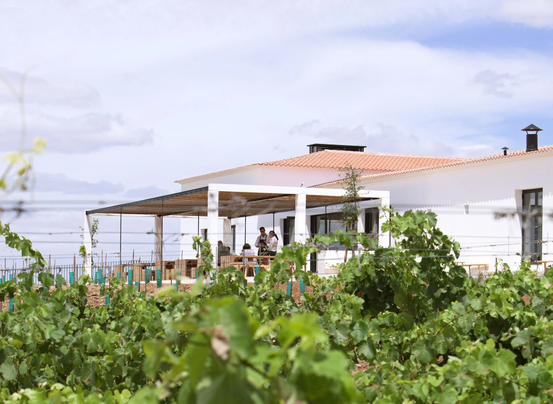 Herdade do Esporão – Visita, Prova & Almoço