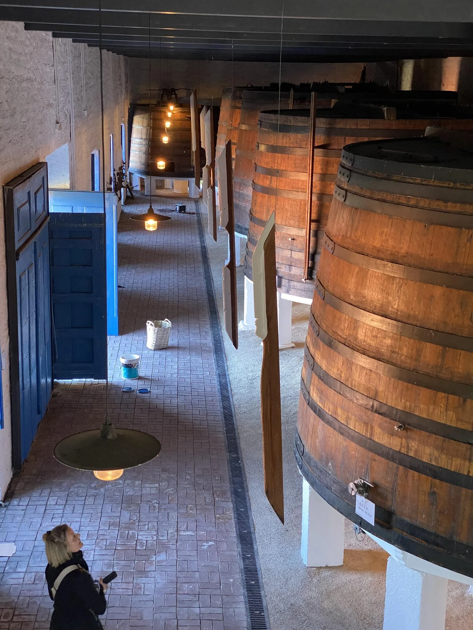 Douro Valley in a Tesla