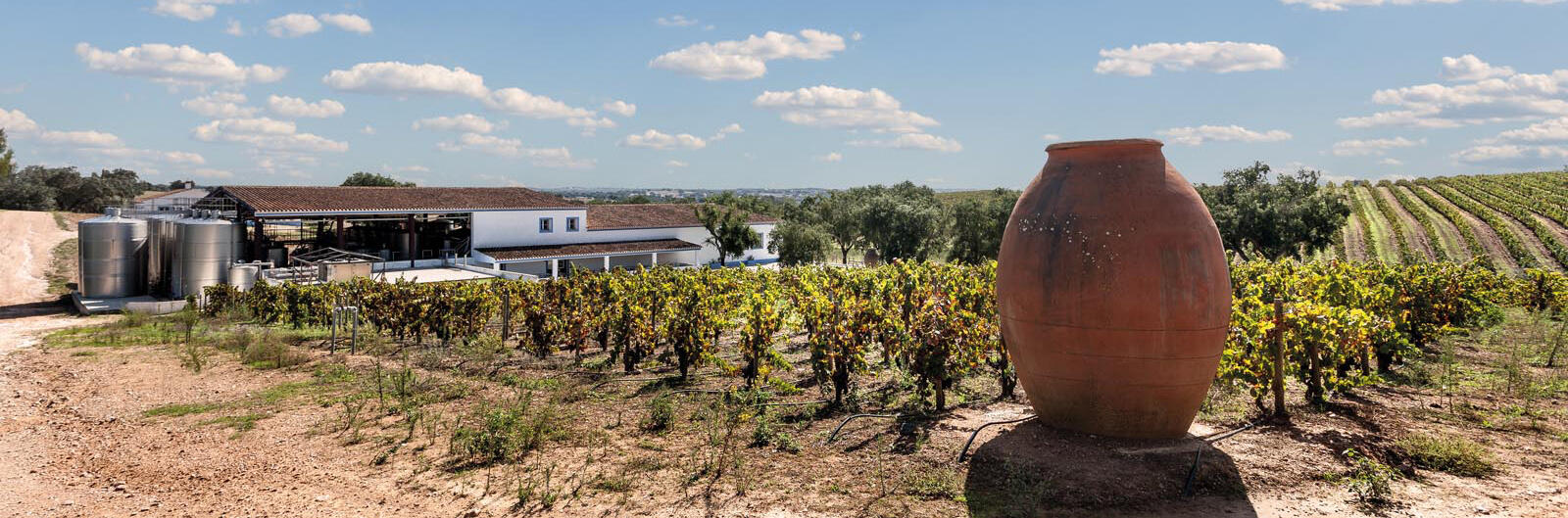 Casa Relvas – Programa de Vindima