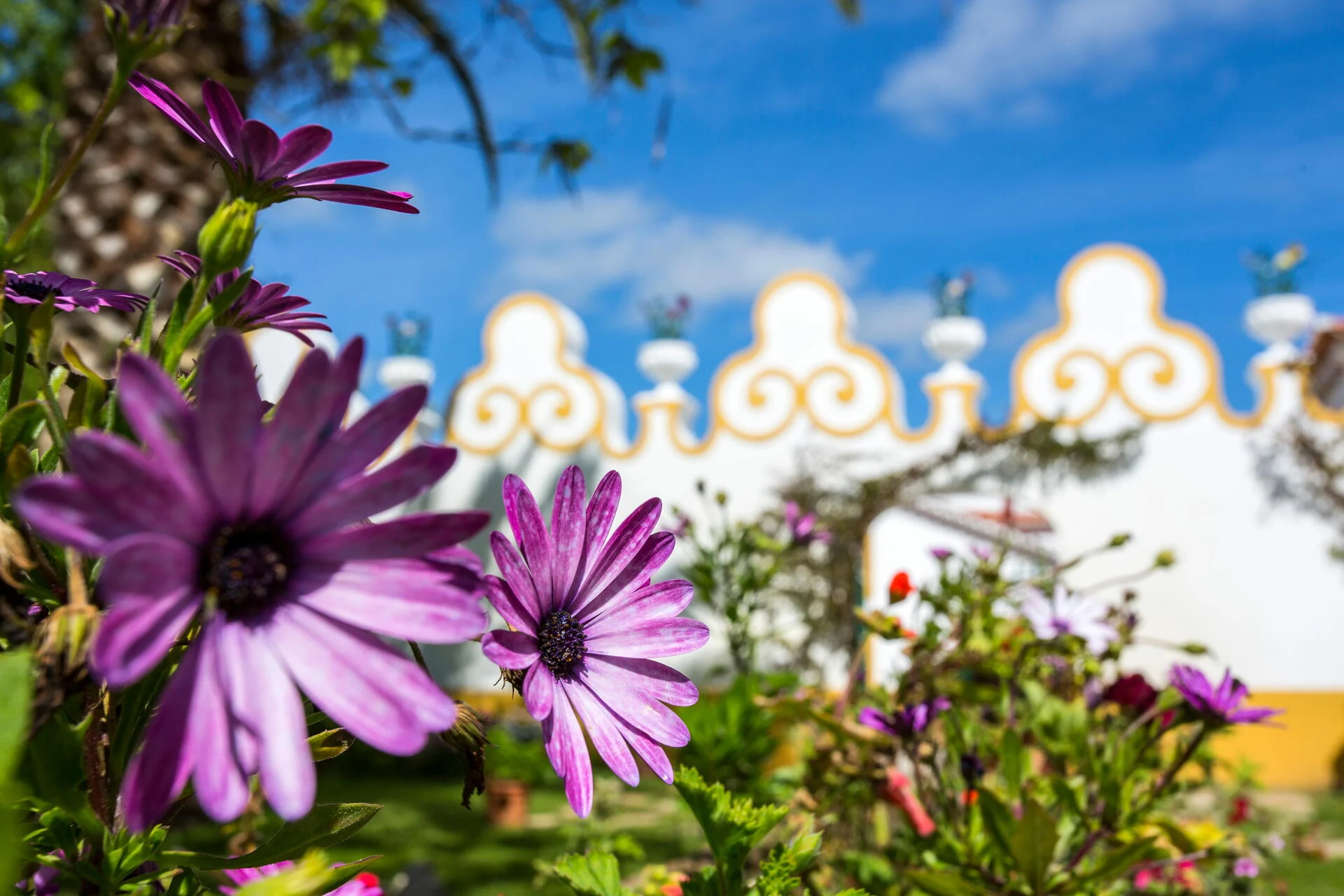 Herdade da Calada – Visita & Prova Bem – Vindo