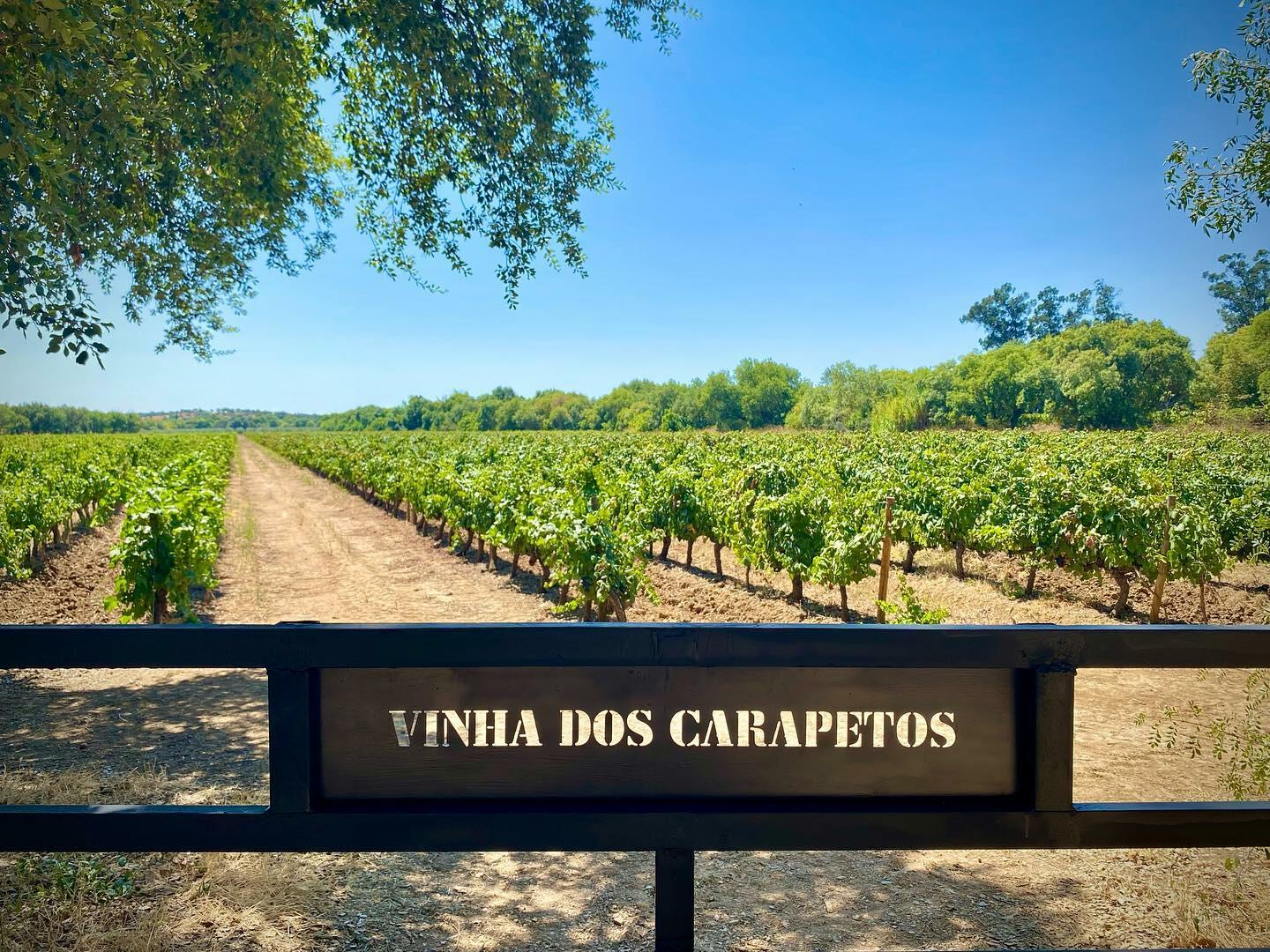 Mouchão – Visita, Prova & Petiscos Regionais