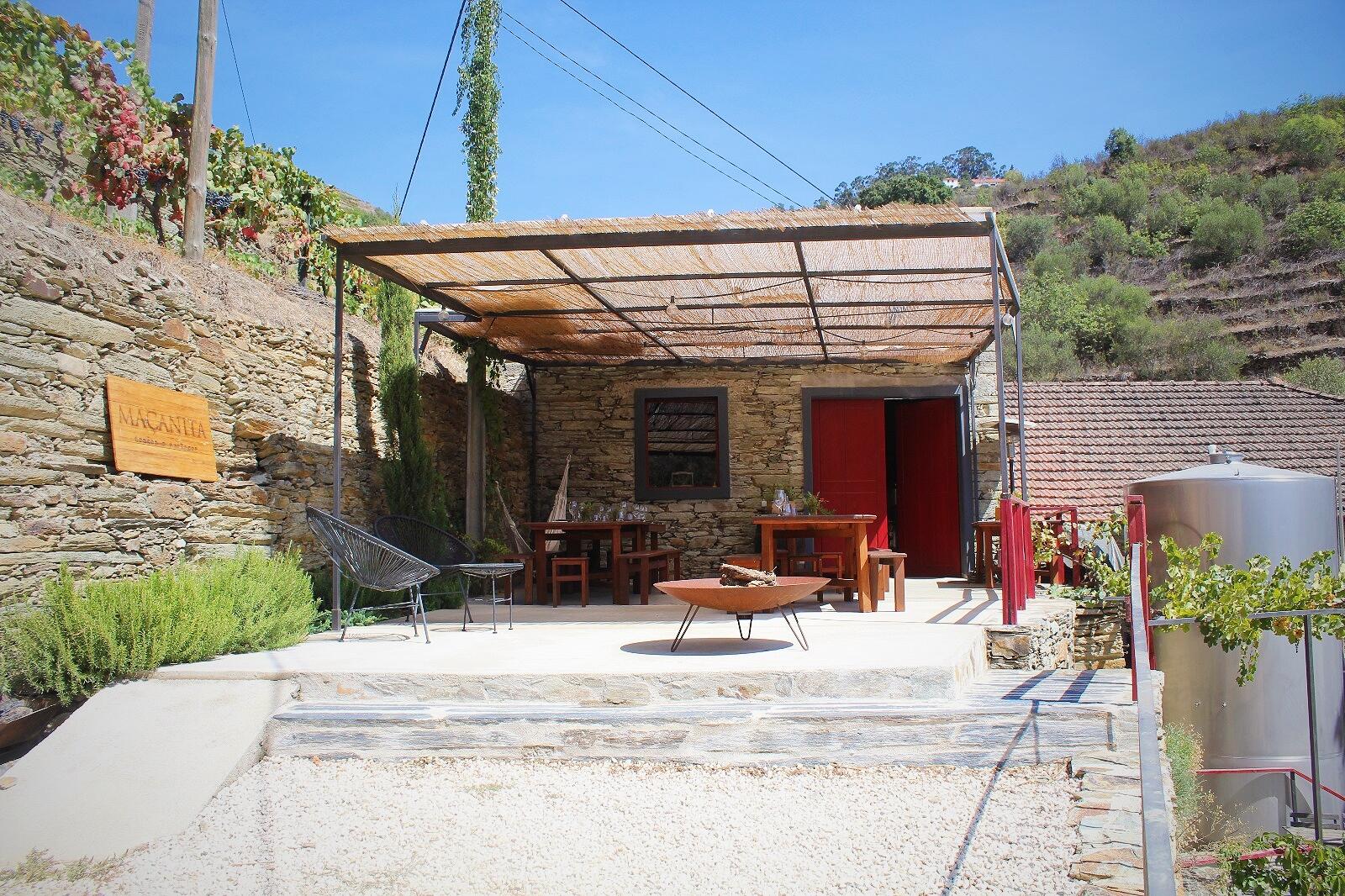 Adega Maçanita – Almoço Bucha do Douro