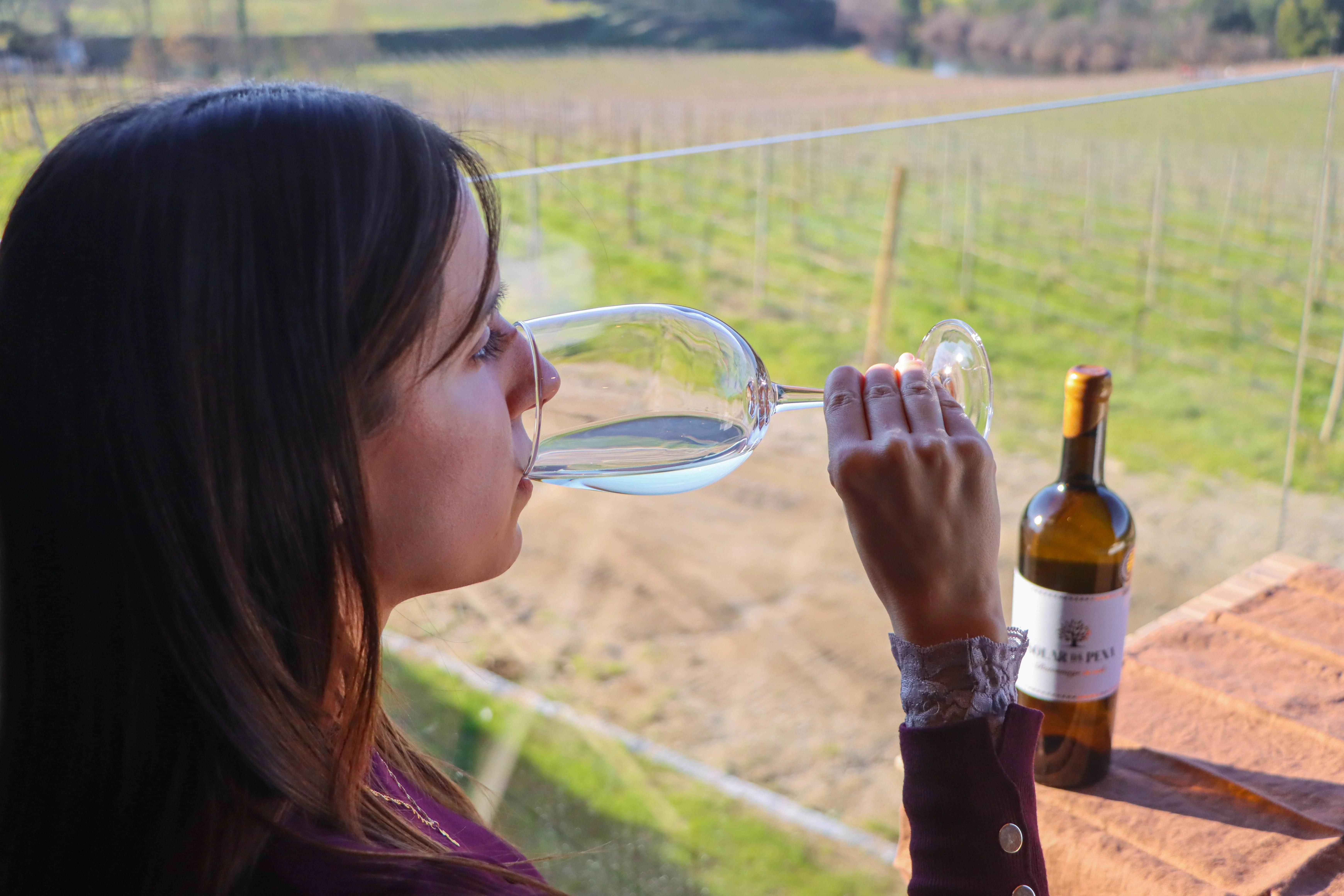 Solar da Pena – Piquenique na Vinha