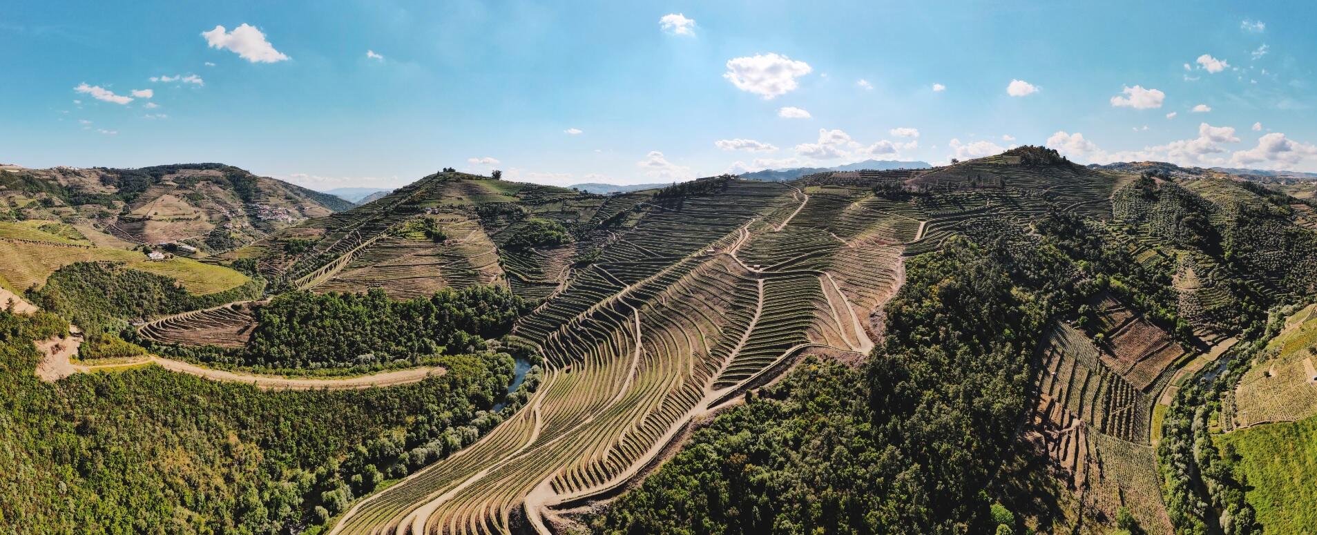 Adega H.O – Visita & Prova Clássica