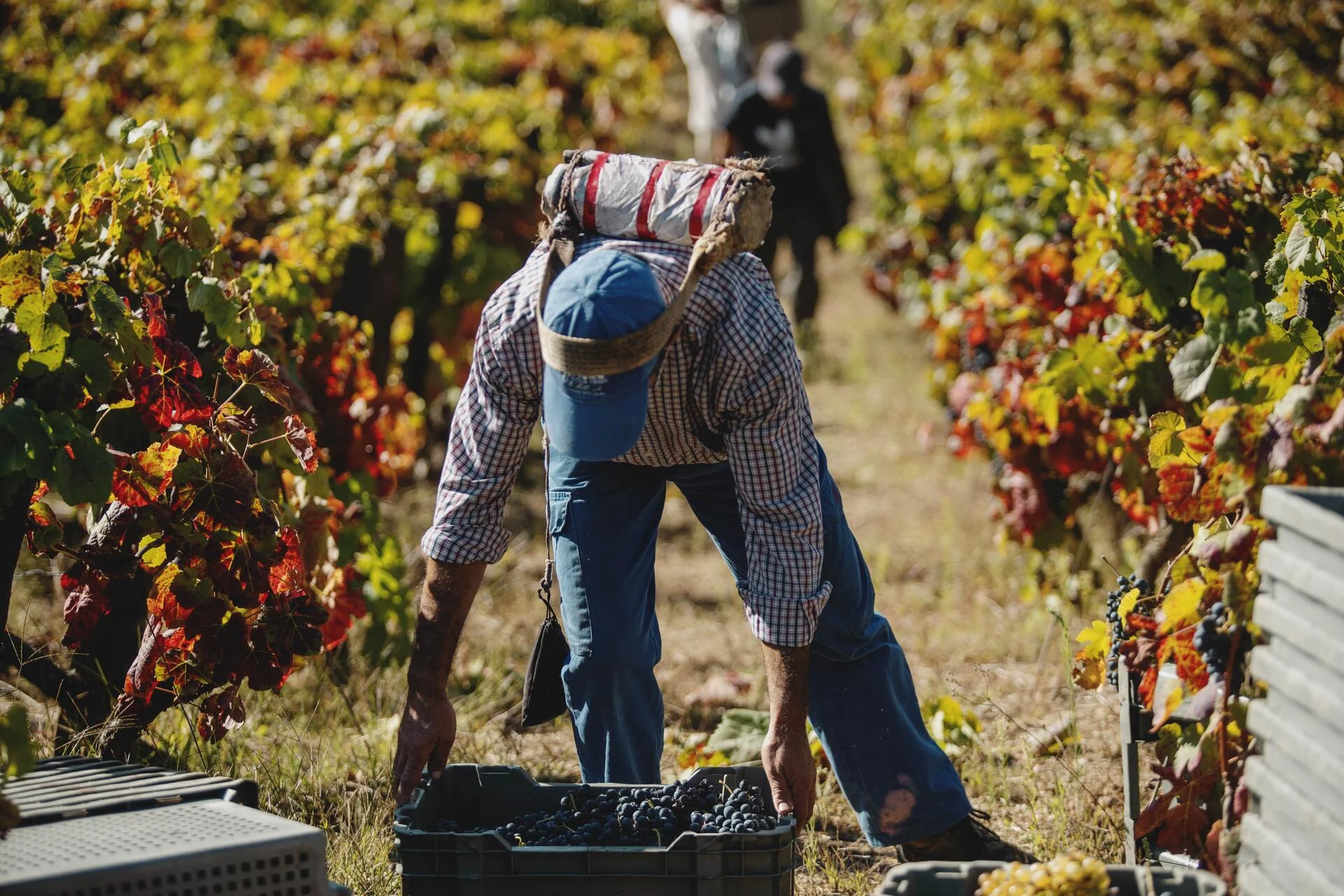 Adega H.O – Visita & Prova Reserva