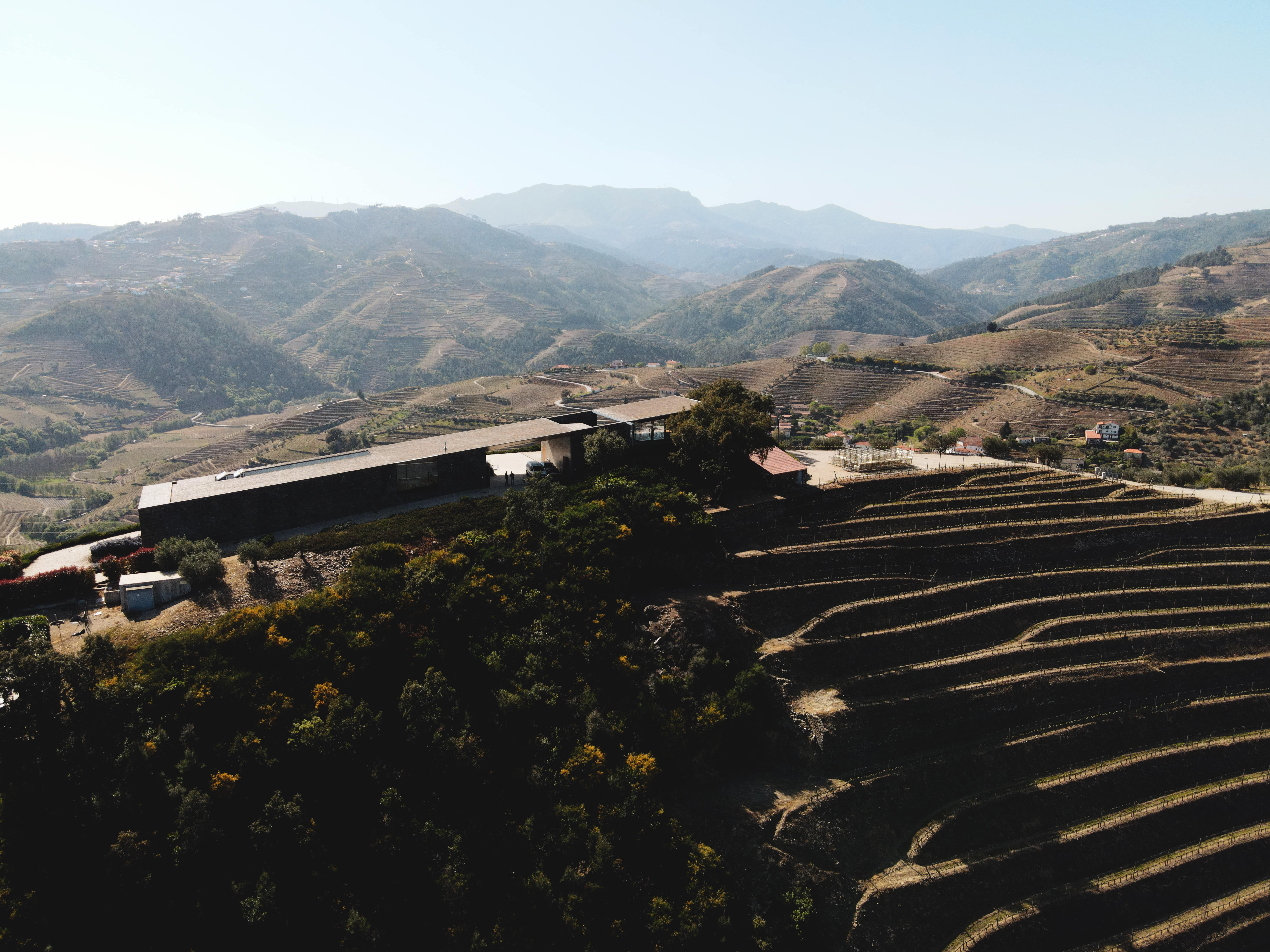 Adega H.O – Visita & Prova Reserva