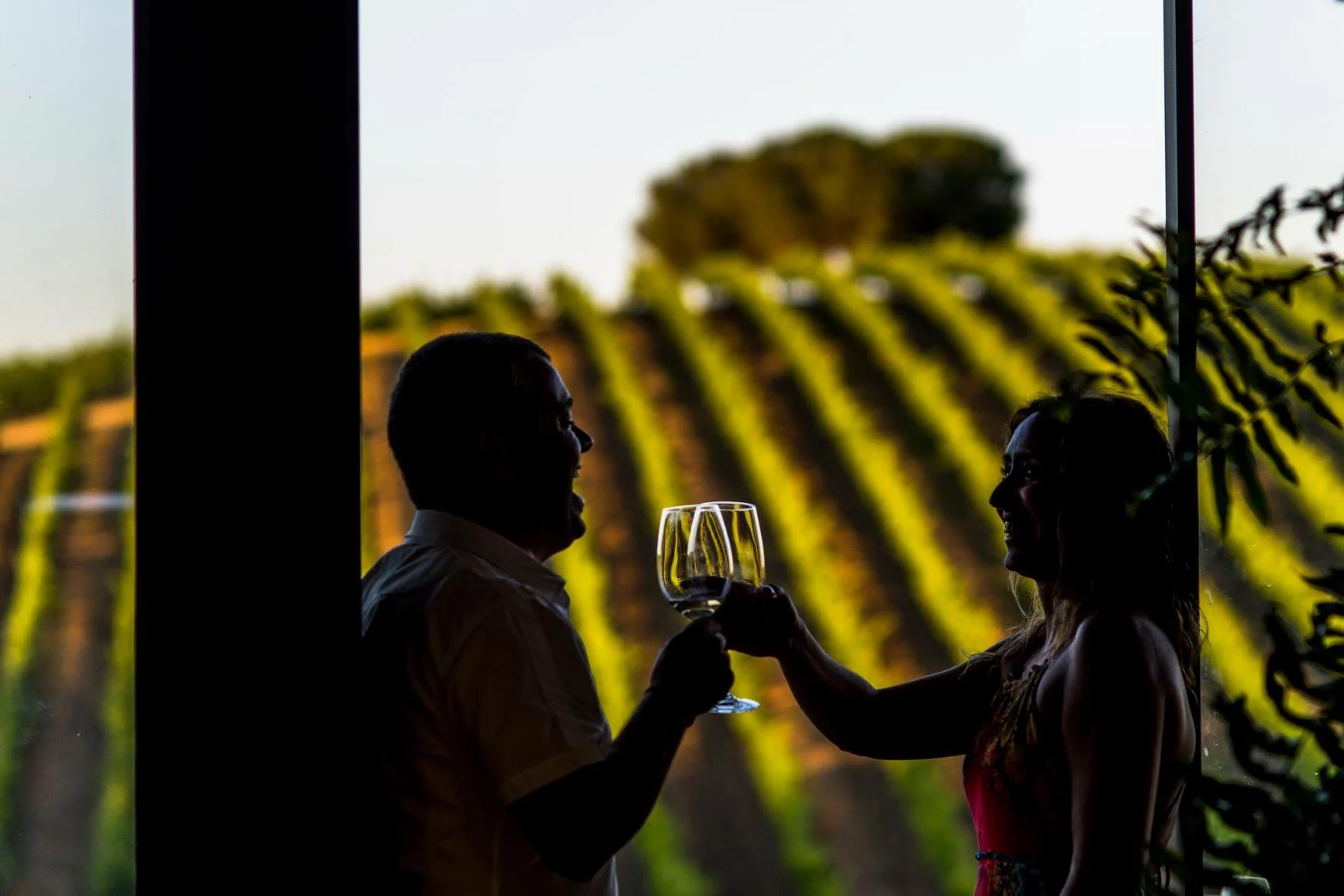 Quinta do Quetzal – Piquenique nas Vinhas