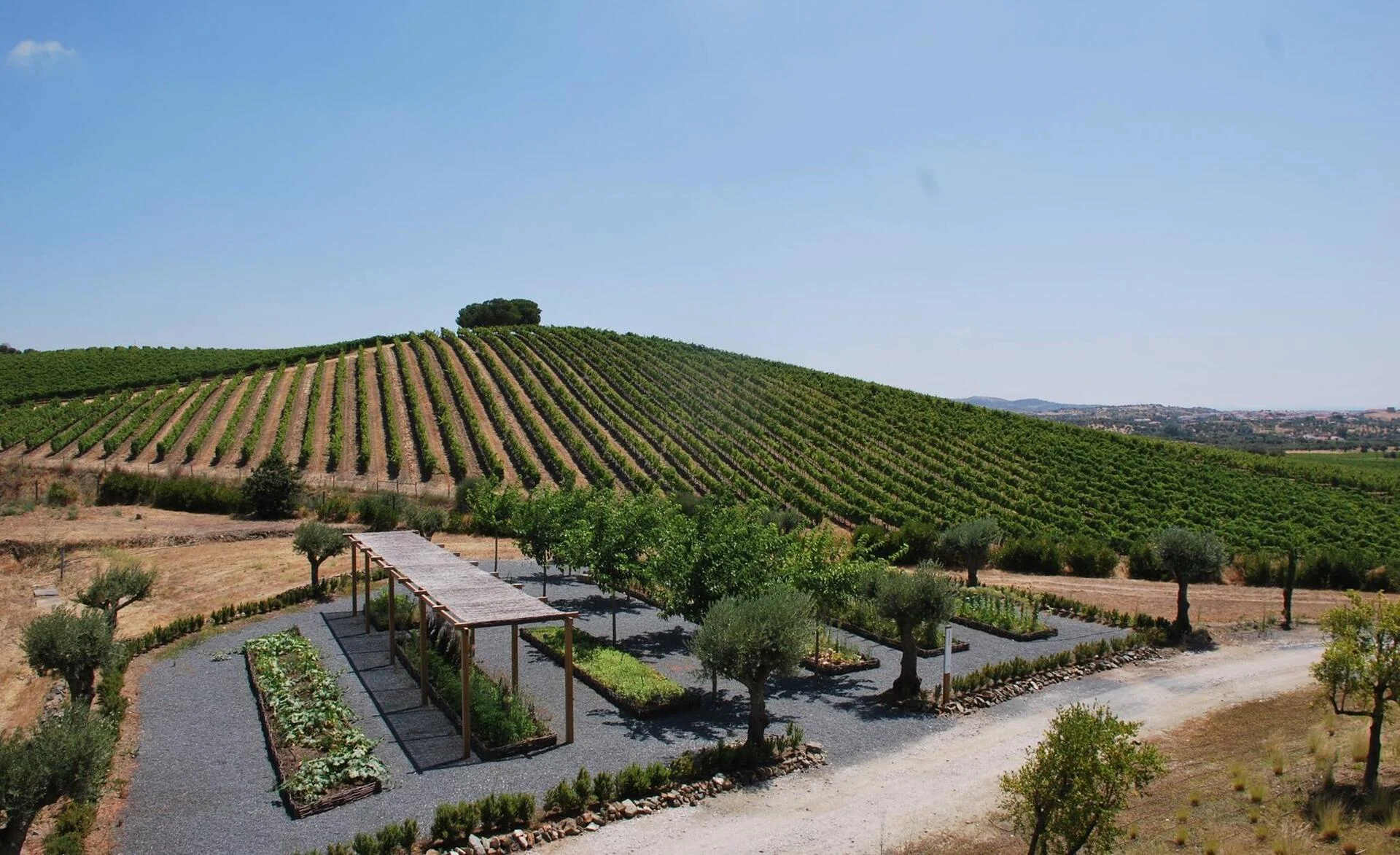 Quinta do Quetzal – Piquenique nas Vinhas