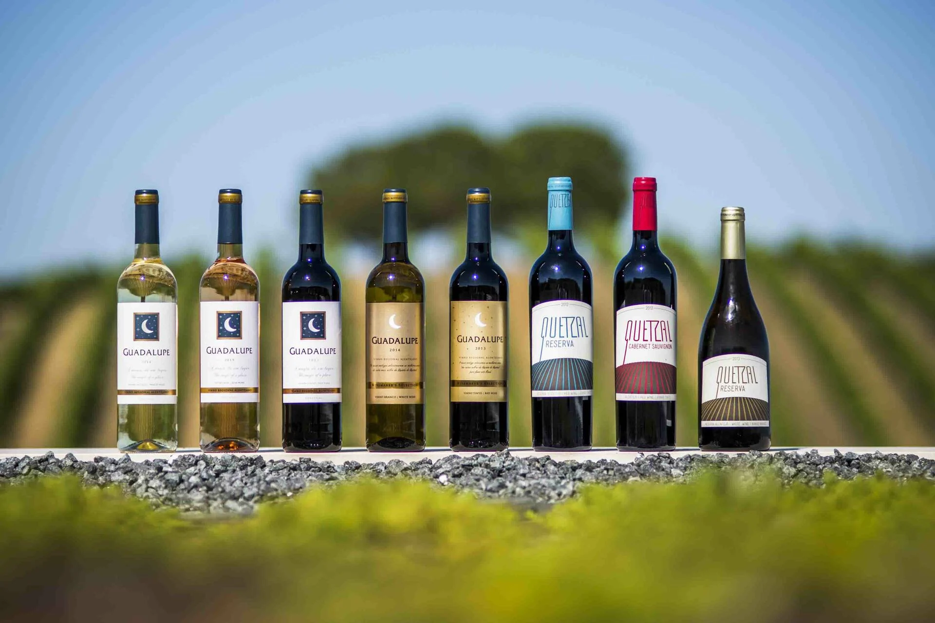 Quinta do Quetzal – Piquenique nas Vinhas