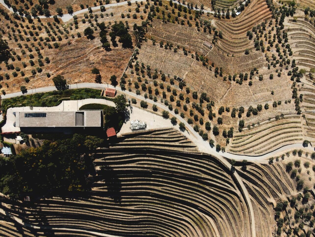 Adega H.O – Visita & Prova “Achado”