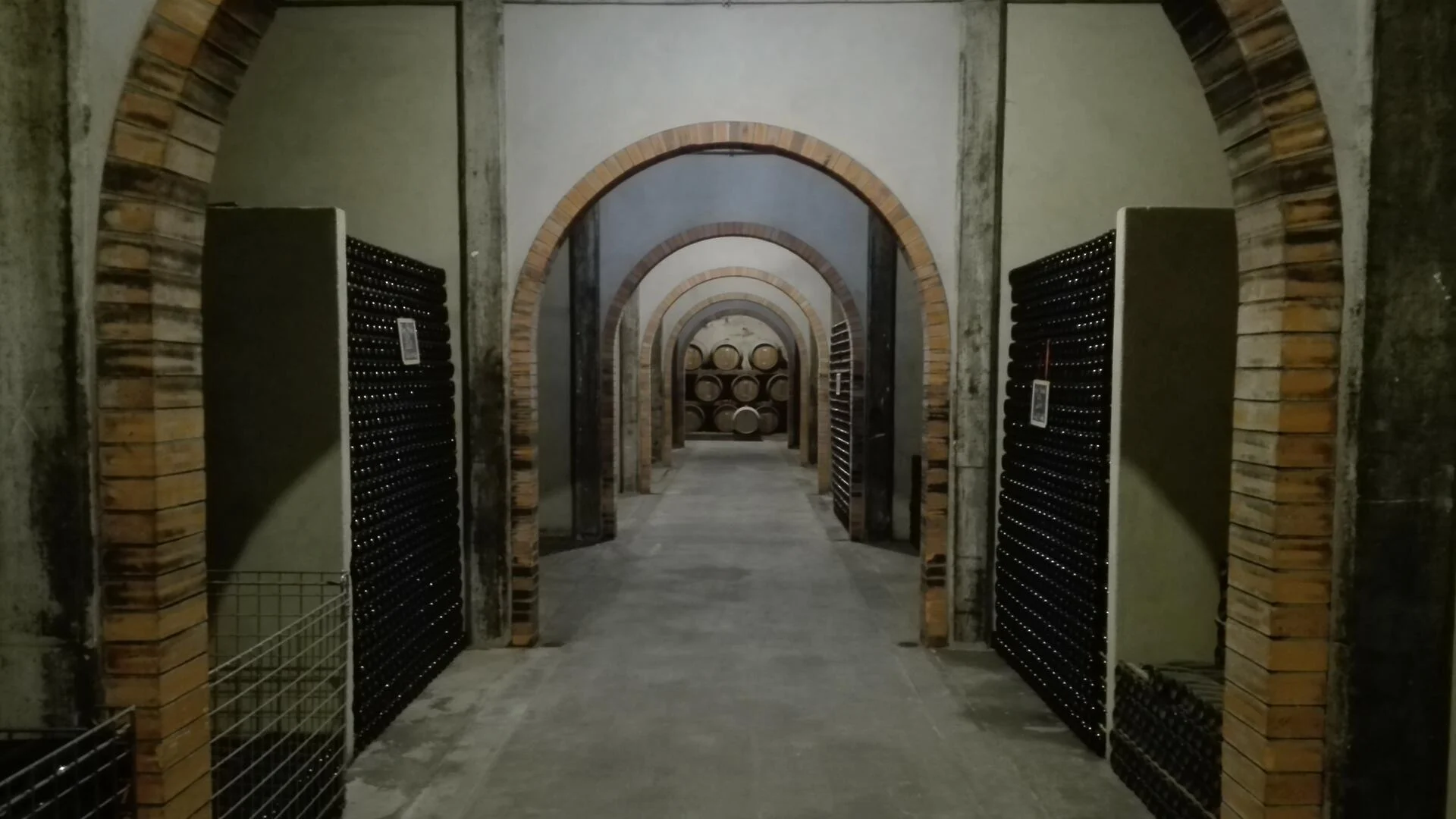 Rota dos Vinhos da Bairrada – Meio Dia
