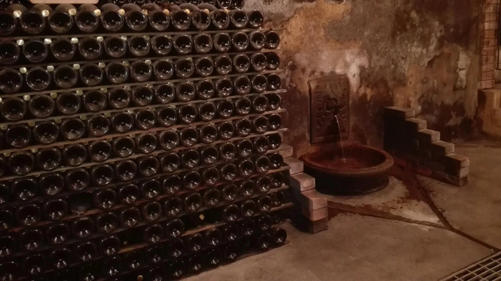 Rota dos Vinhos da Bairrada – Meio Dia