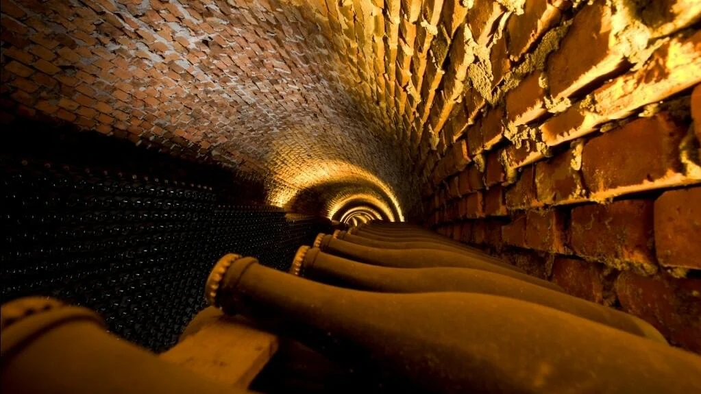 Rota dos Vinhos da Bairrada – Meio Dia