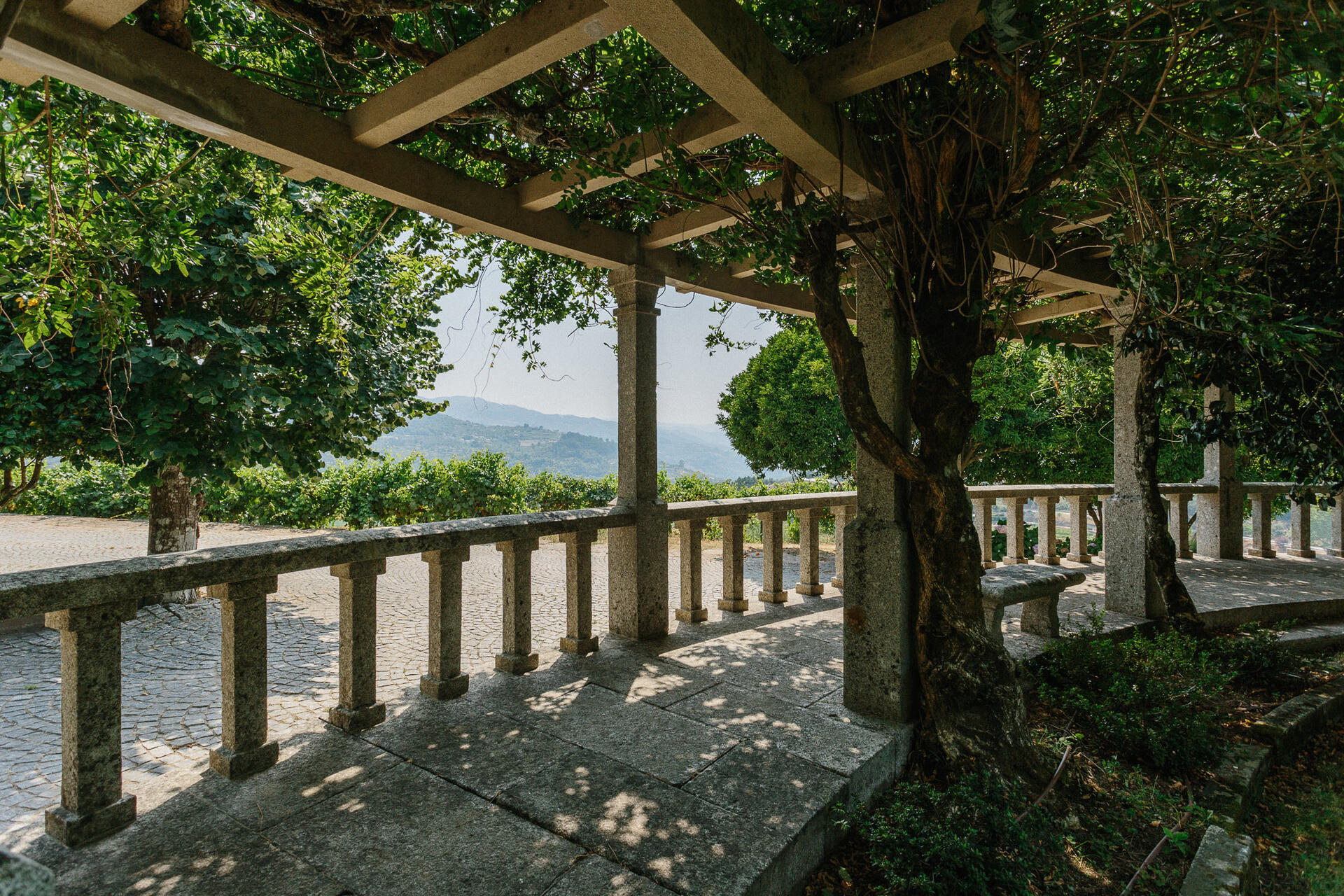 Quinta de Santa Teresa – Visita & Prova Terroir