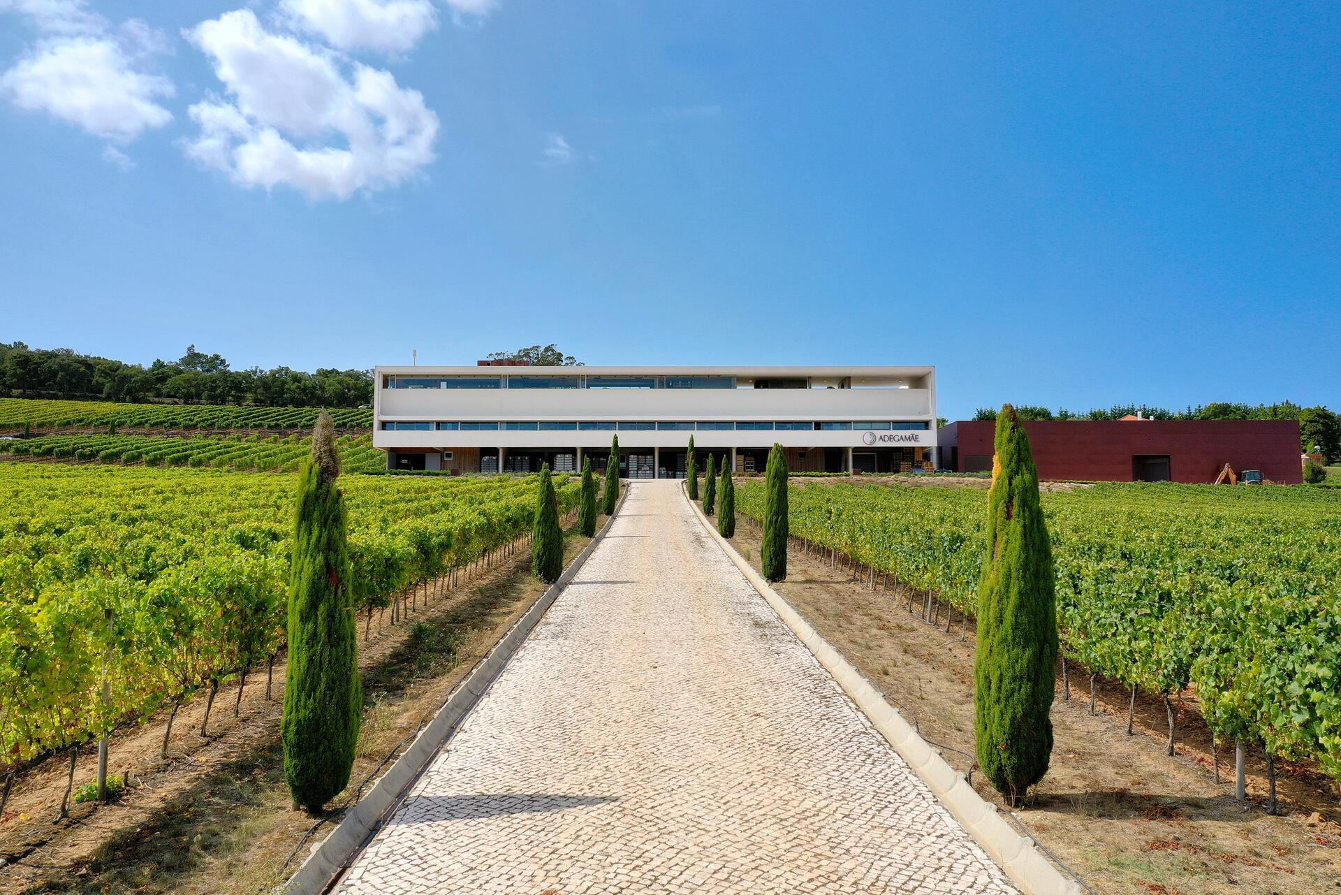 Adegamãe – Brunch & Vinho