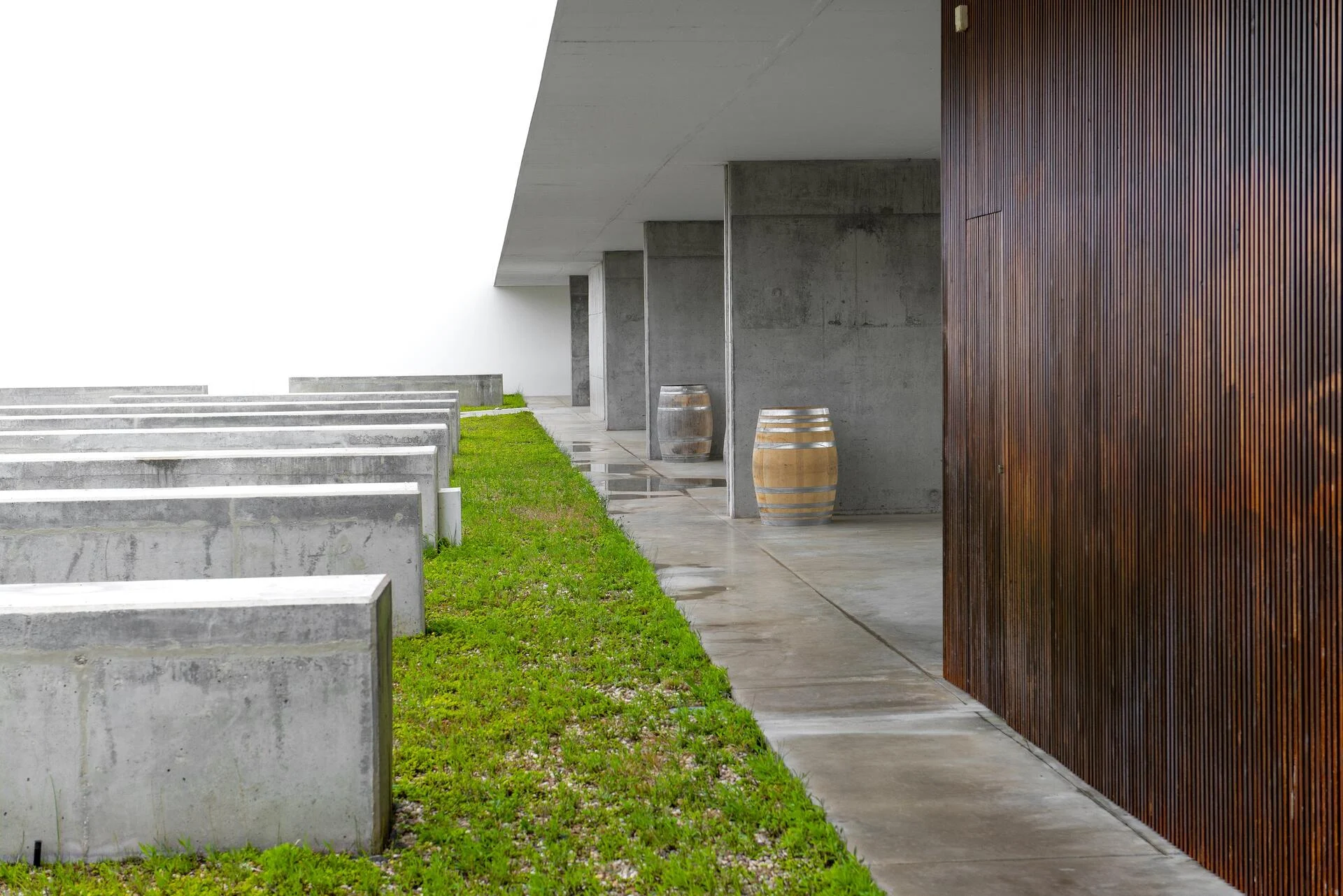 Adegamãe – Visita & Prova Silver