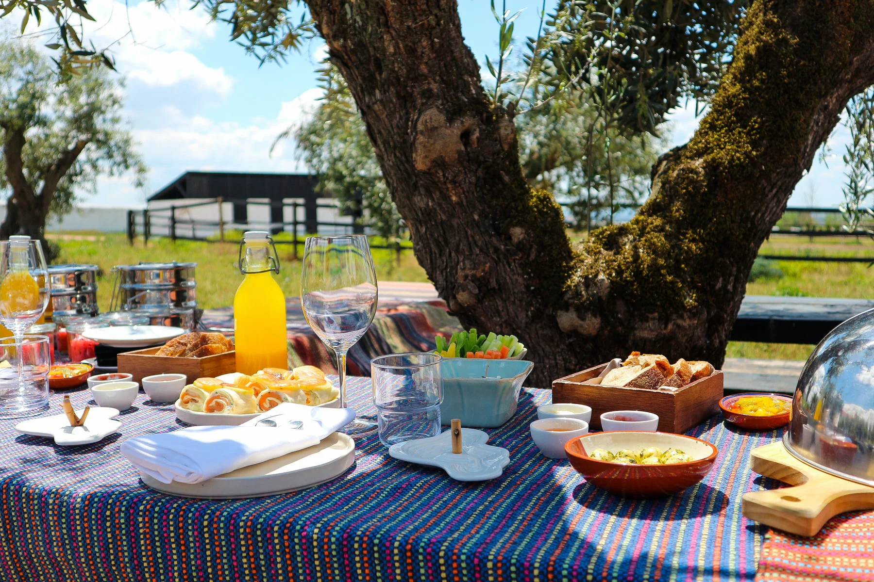 Torre de Palma – Piquenique