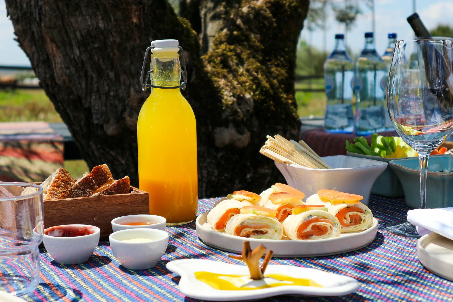 Torre de Palma – Piquenique
