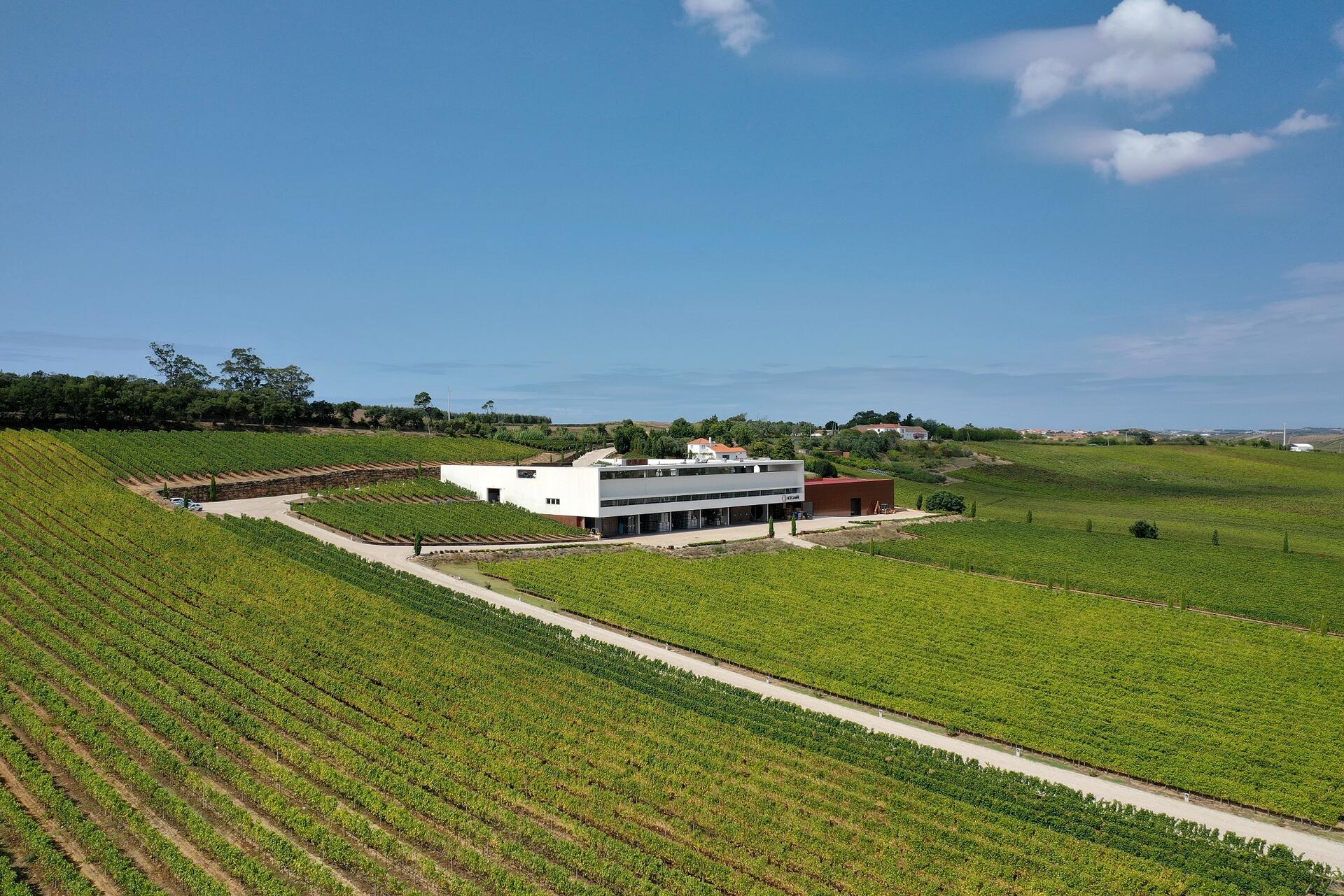 Adegamãe – Visita & Prova Gold