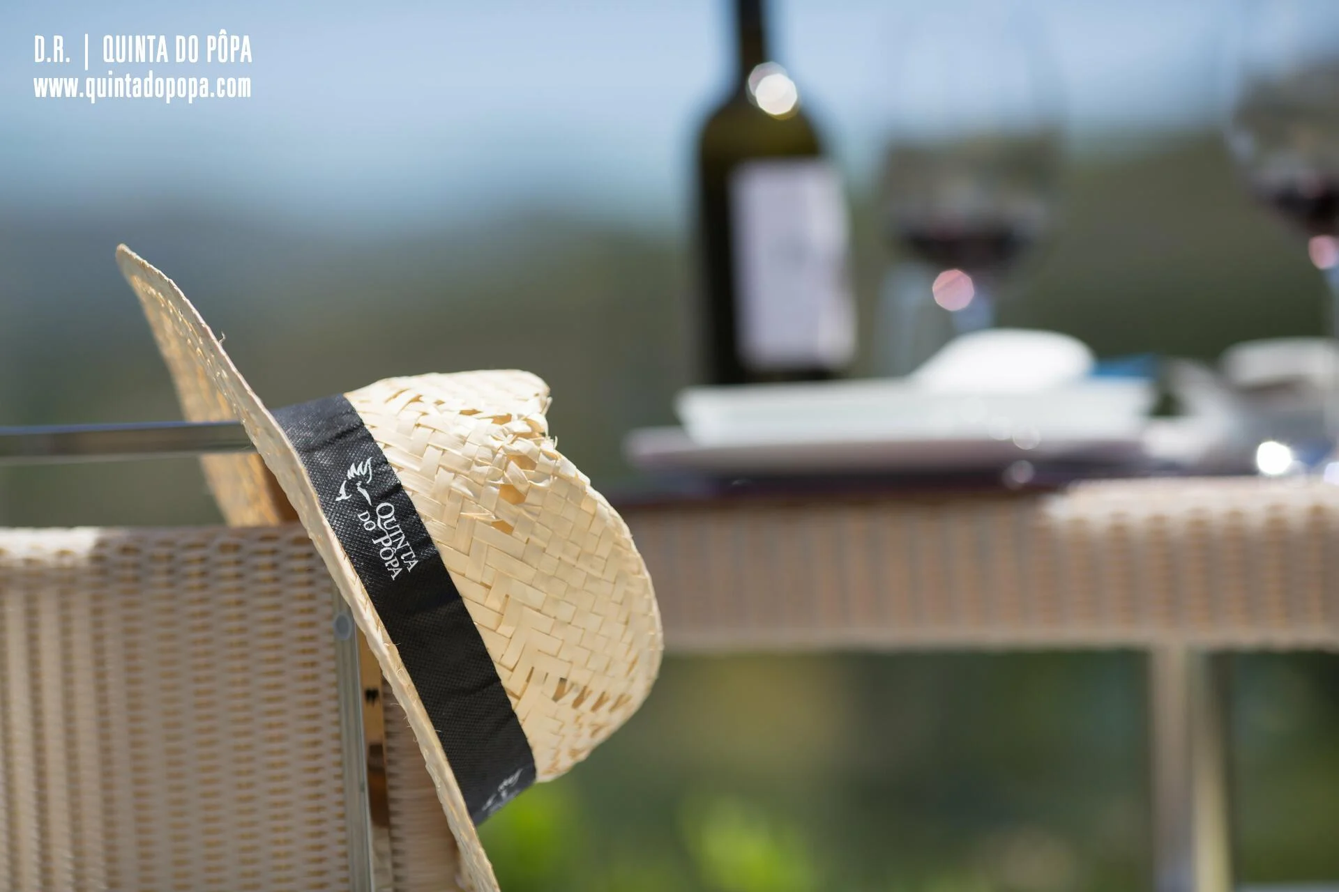 Quinta do Pôpa – Picnic Vínico & Prova