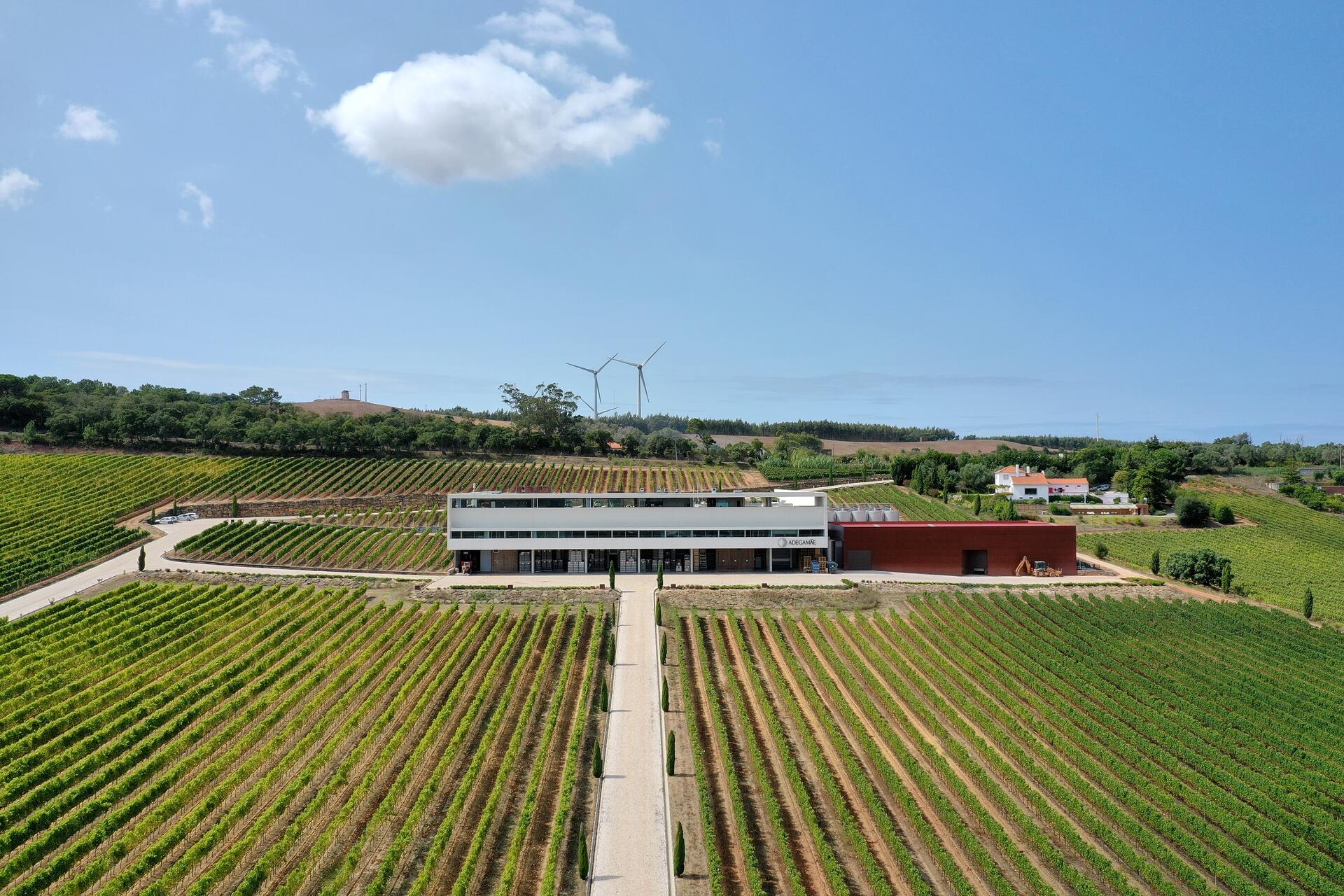 Adegamãe – Visita & Prova Edições Especiais