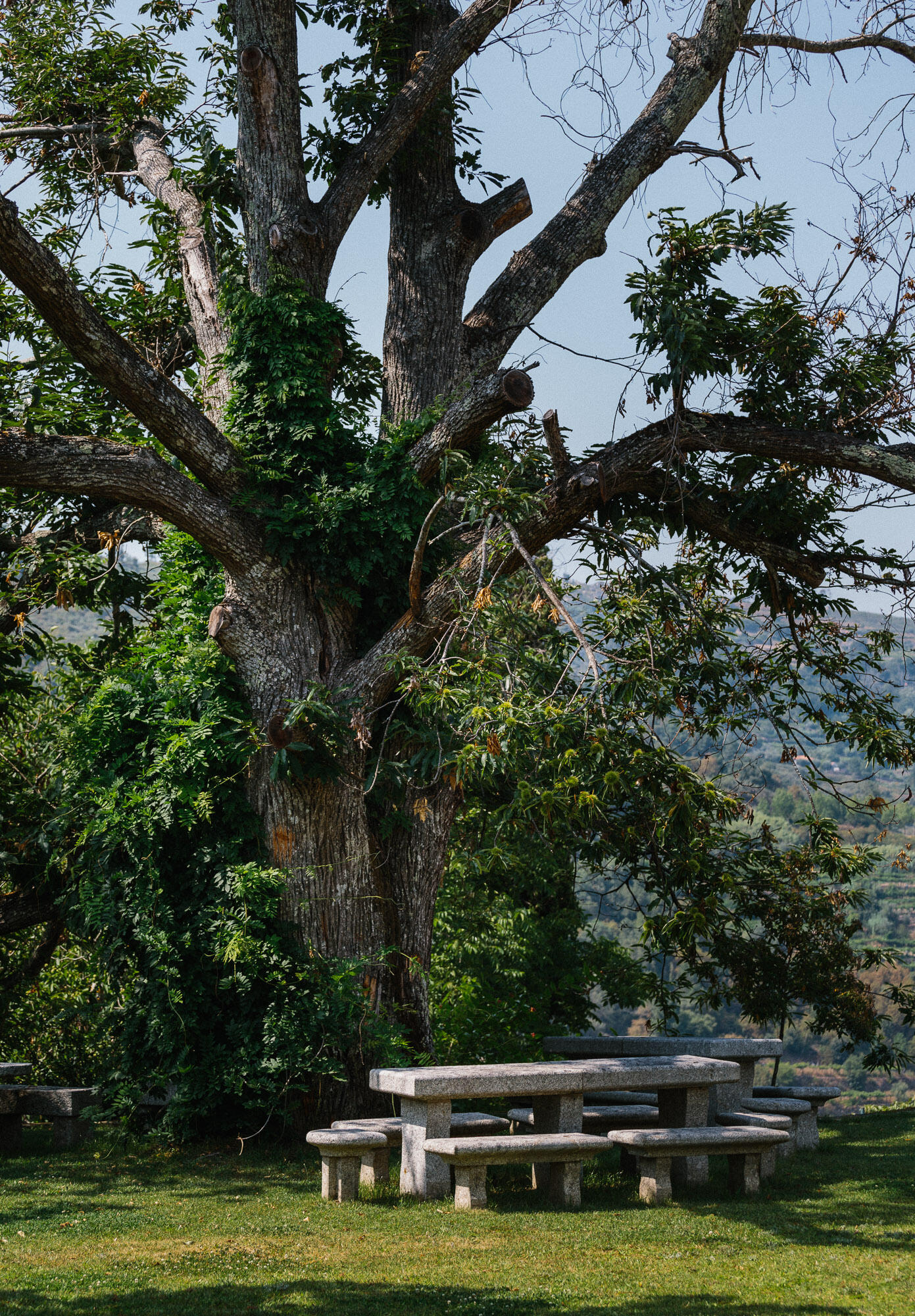 Quinta de Santa Teresa – Visita & Prova Top Range