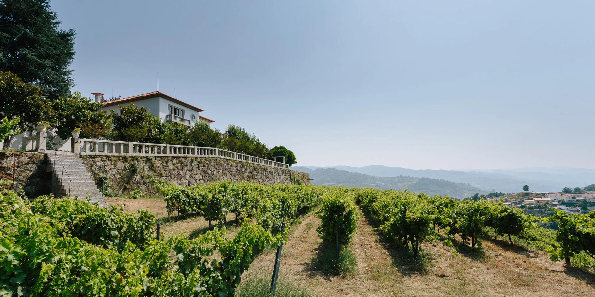 Quinta de Santa Teresa – Prova Amazing Vintages