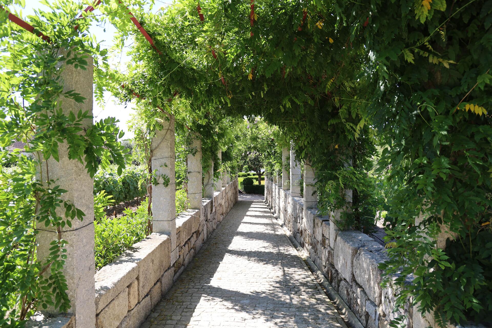 Santar Vila Jardim – Visita & Prova de Vinhos