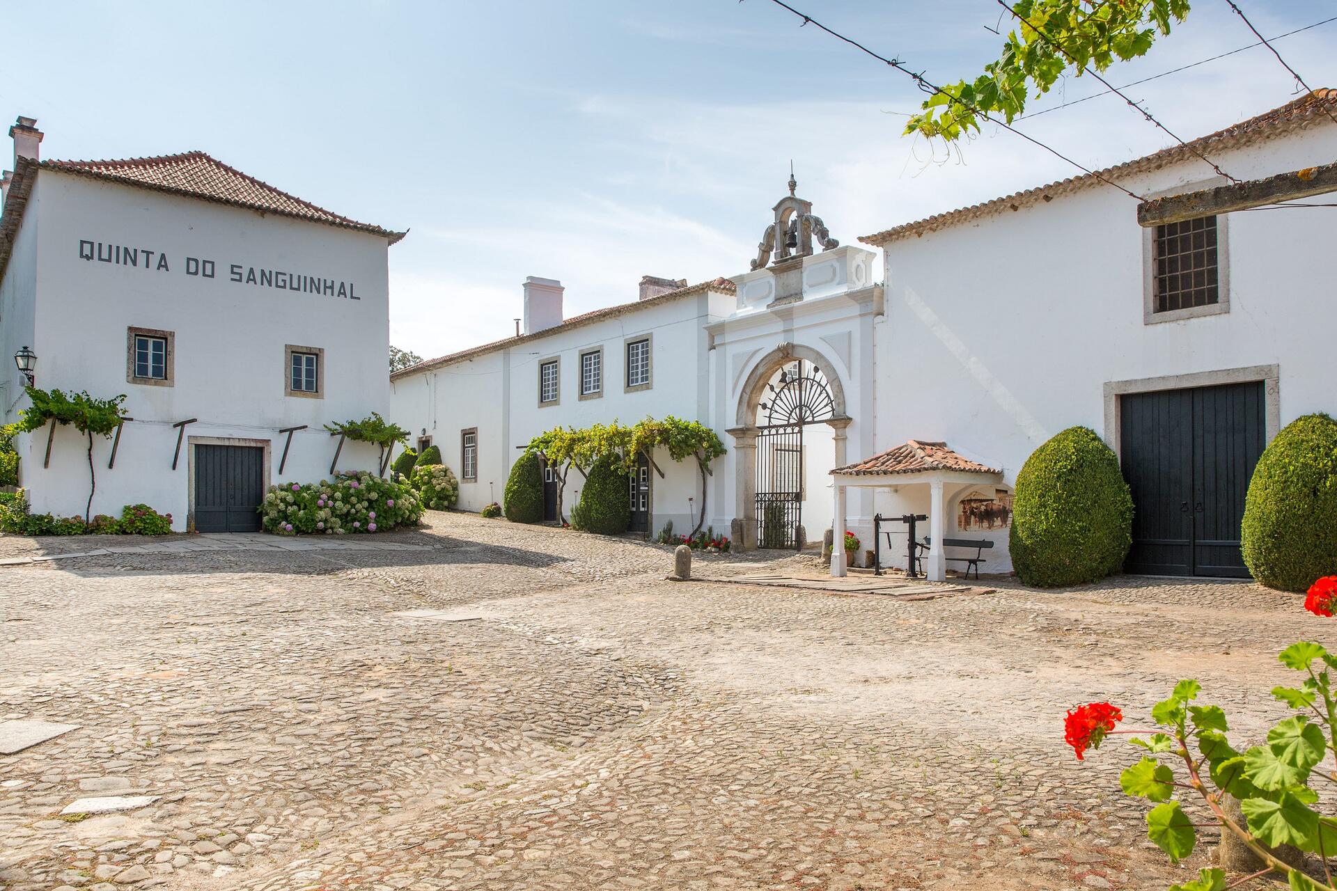 Quinta do Sanguinhal – Visita & Prova Clássica