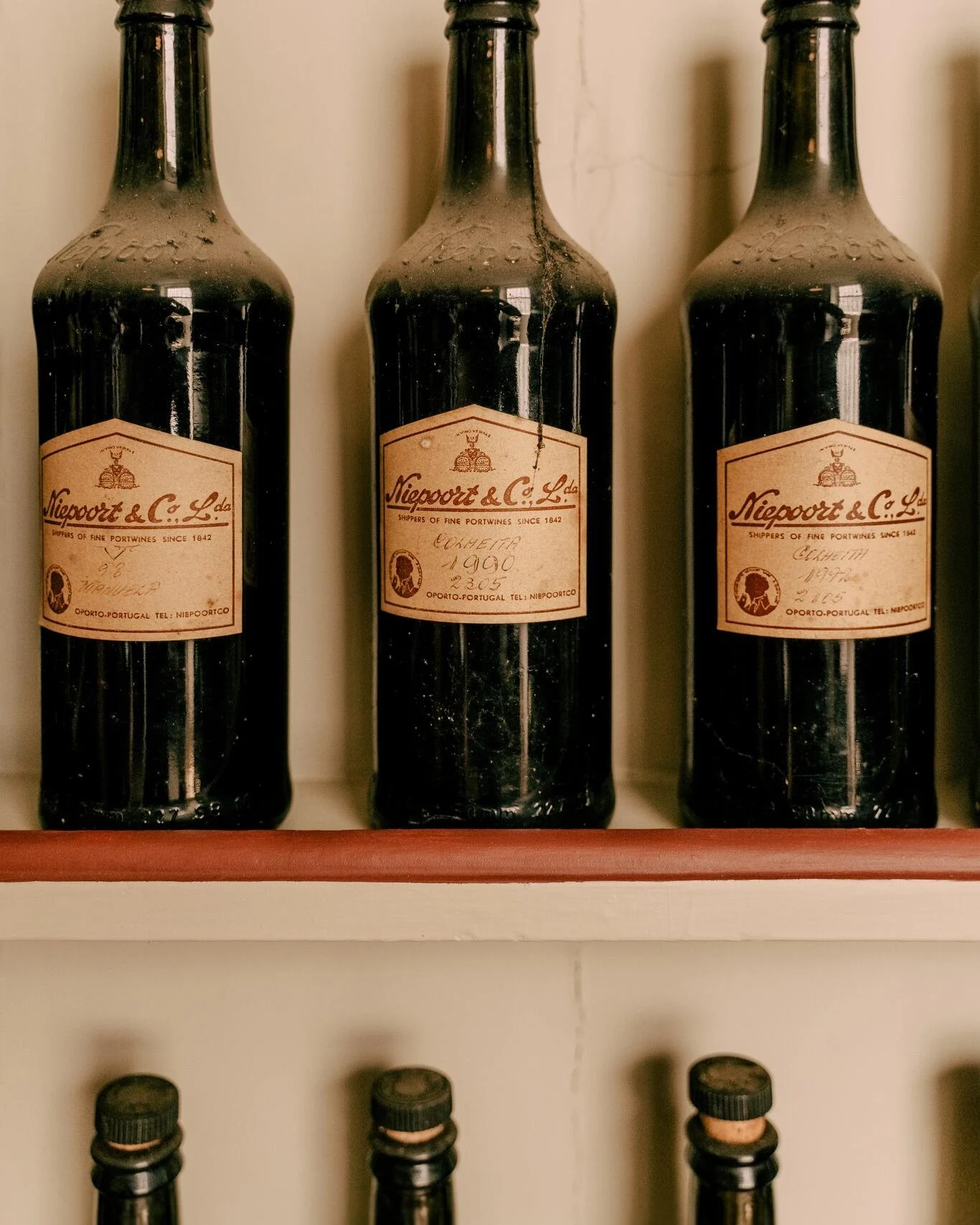 Caves Niepoort – Masterclass