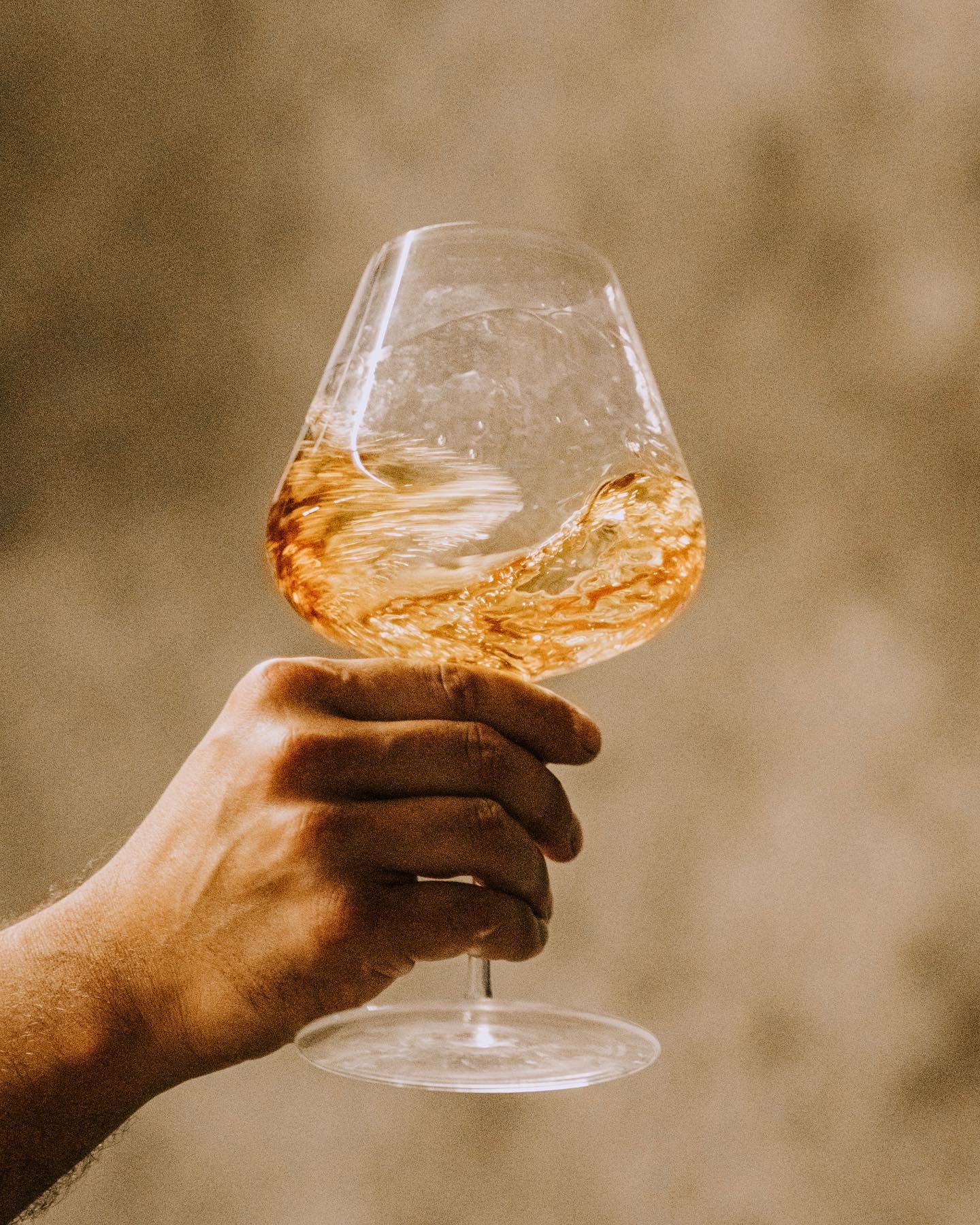 Caves Niepoort – Masterclass