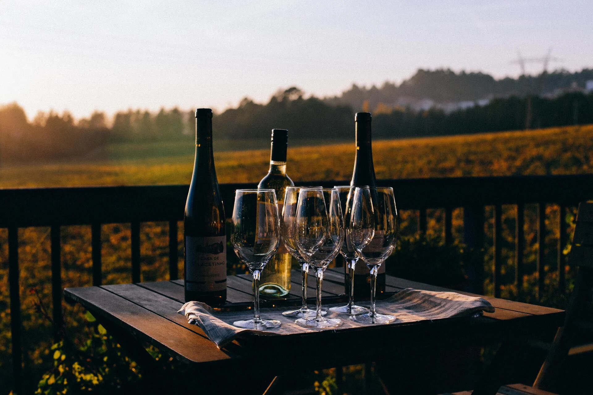 Casa de Vilacetinho – Visita & Prova Clássica