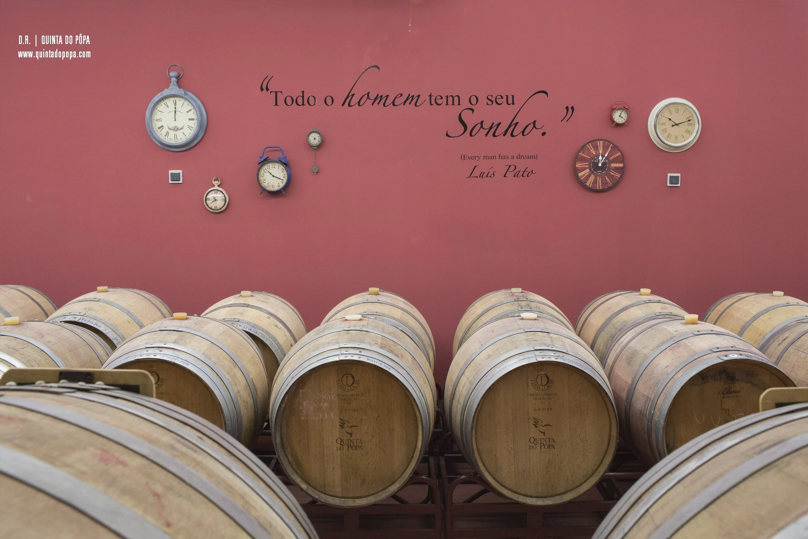 Quinta do Pôpa – Visita & Prova aDouro