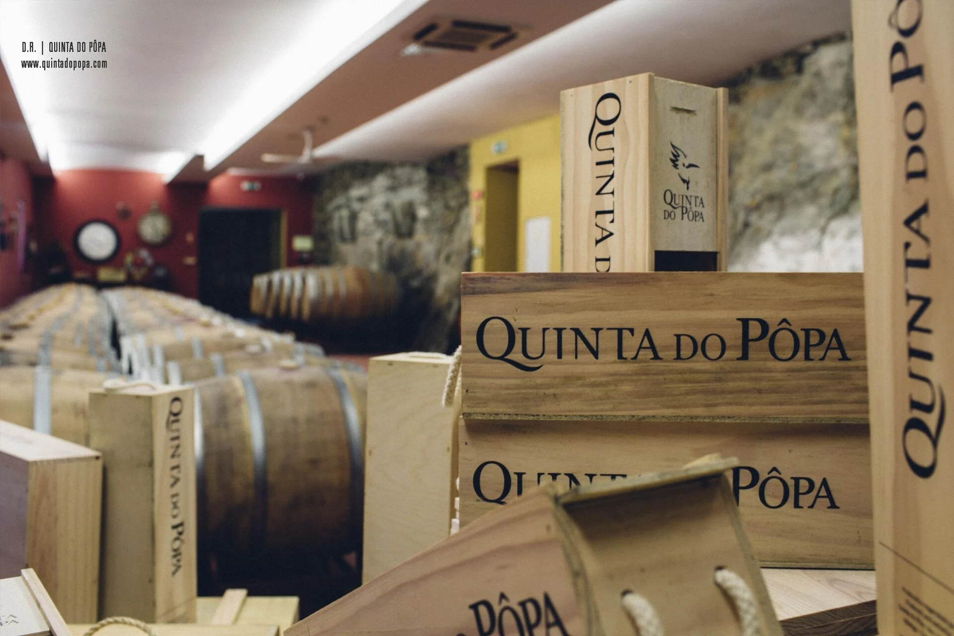 Quinta do Pôpa – Visita & Prova aDouro