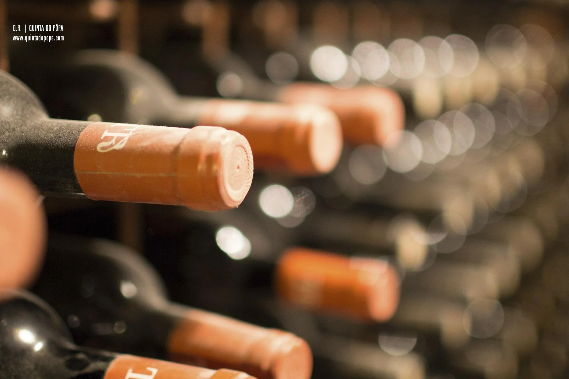 Quinta do Pôpa – Visita & Prova aDouro