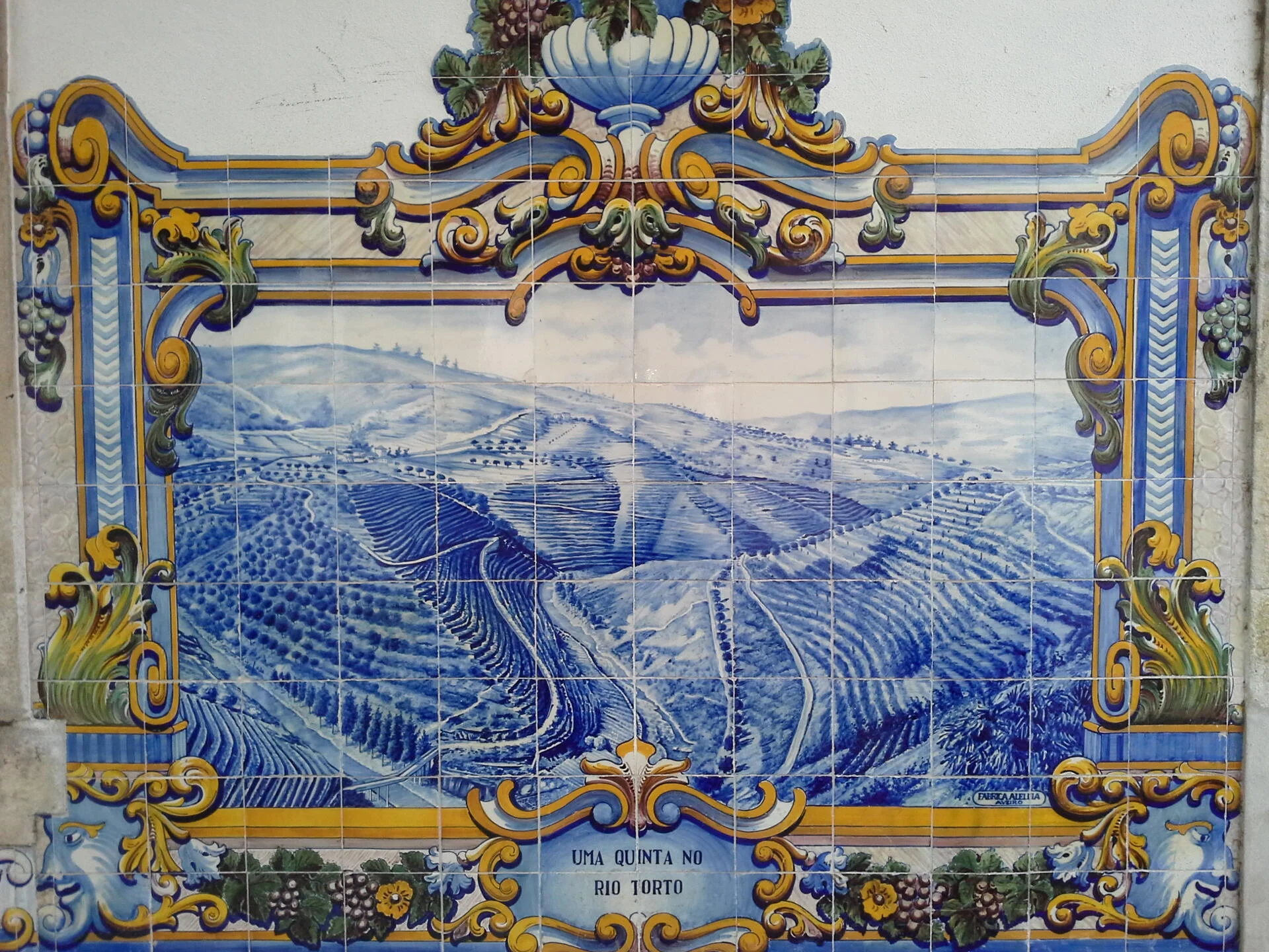 Tour Privado ao Douro Vinhateiro