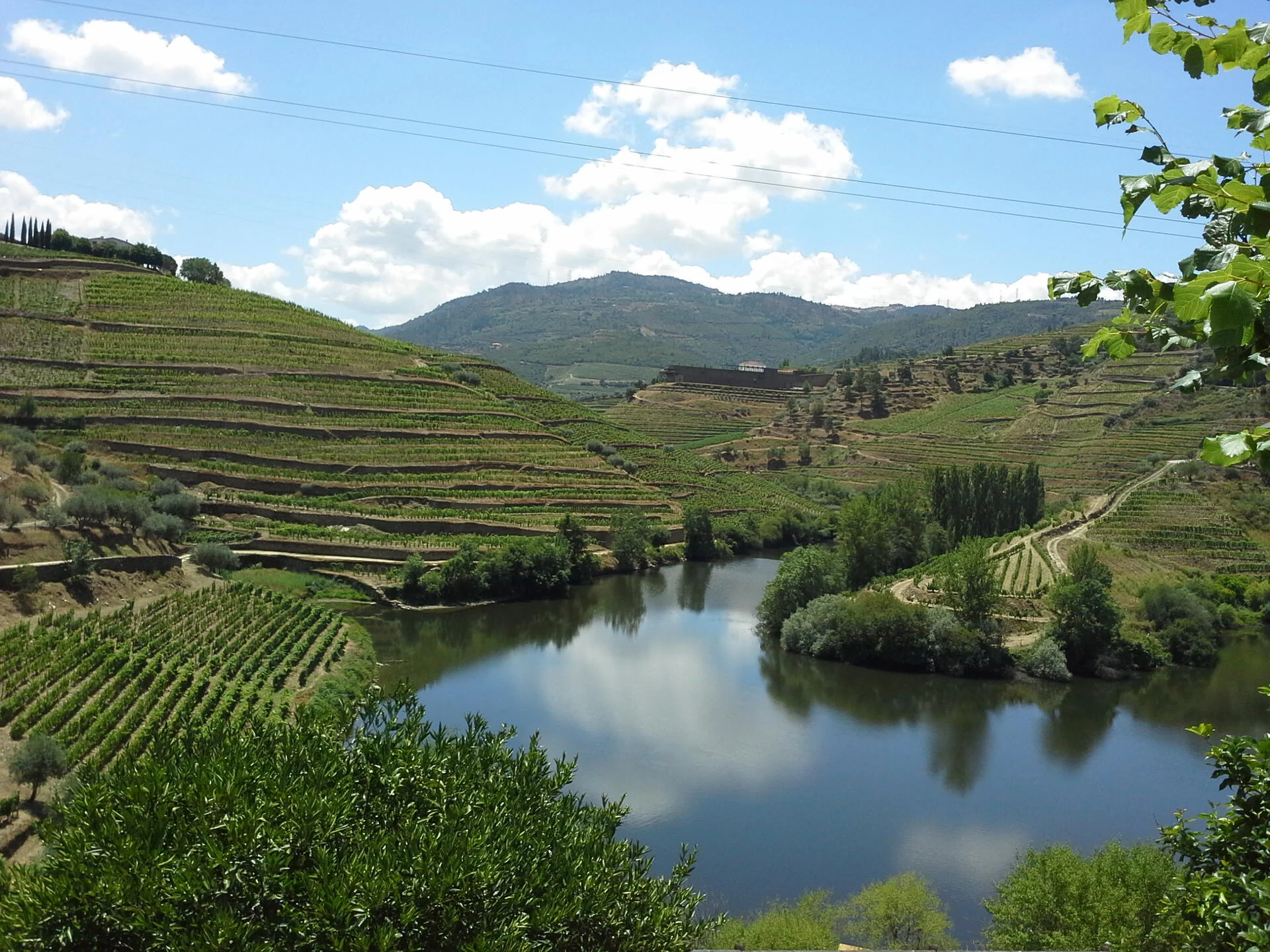 Tour Privado ao Douro Vinhateiro