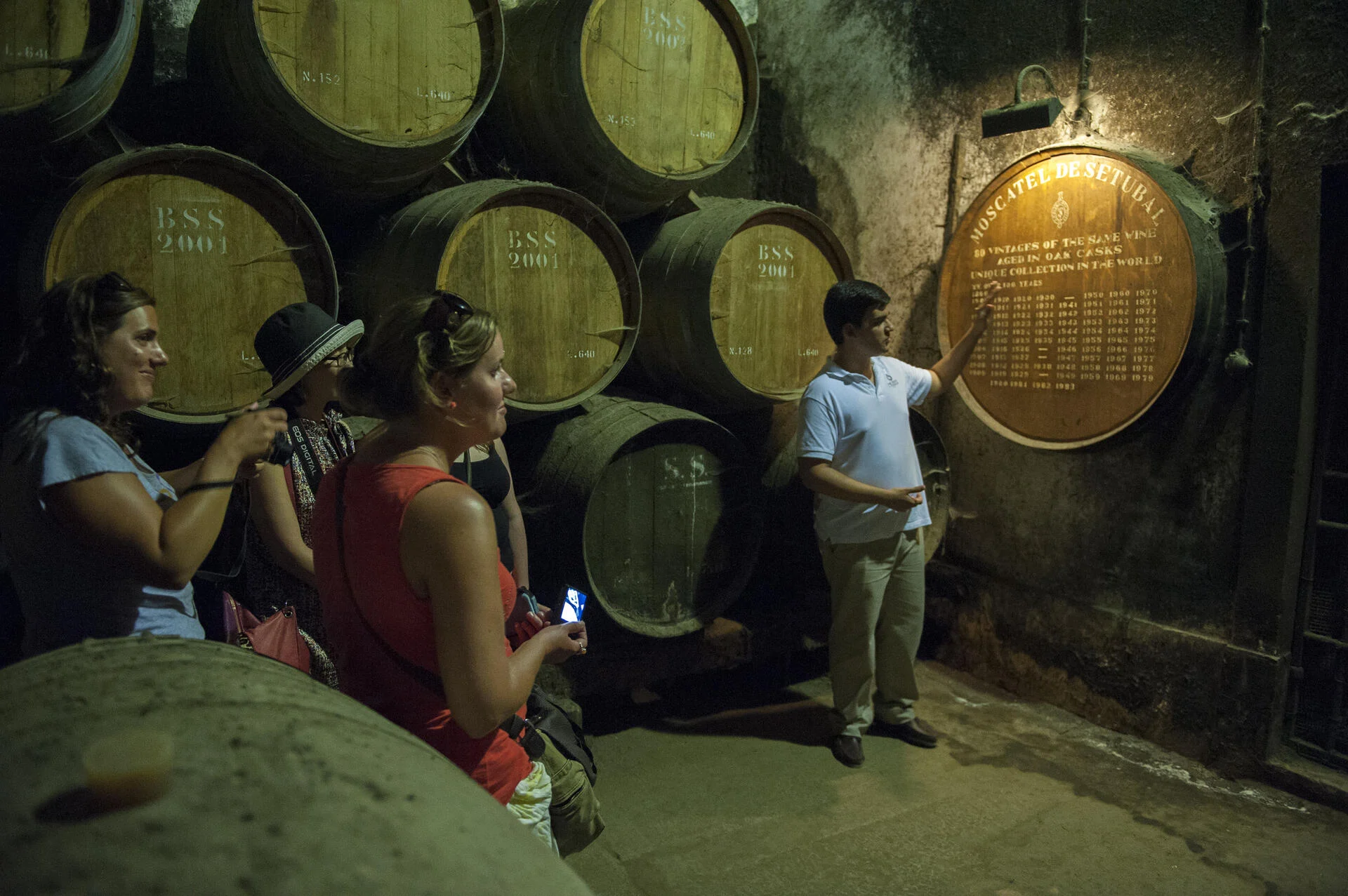 Arrábida Wine Tour – Privado