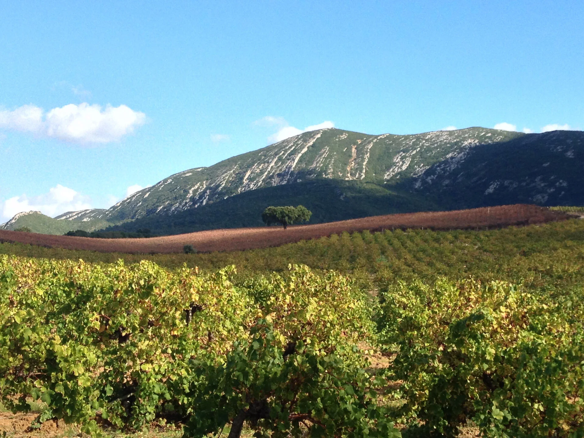 Arrábida Wine Tour – Privado