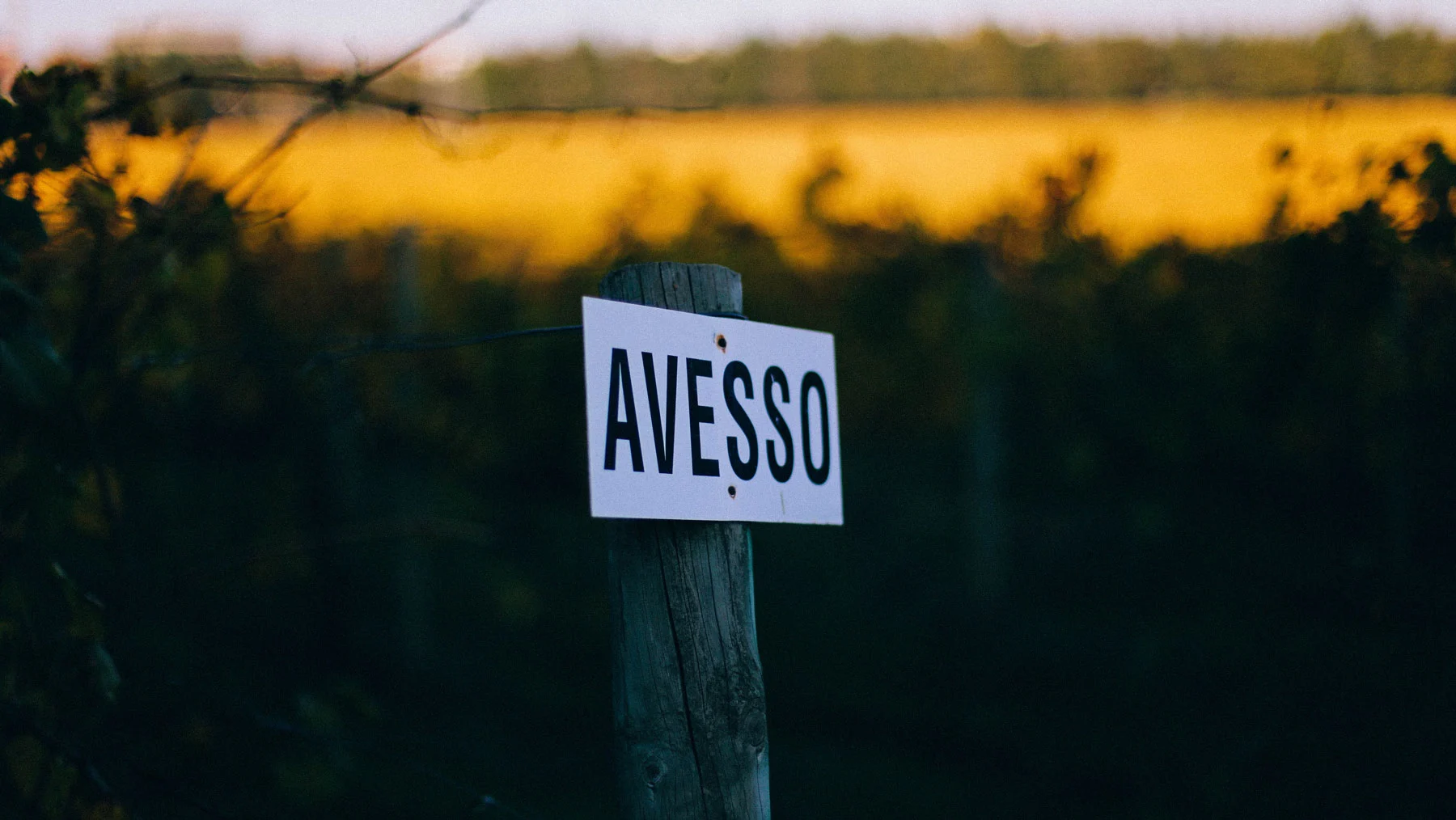 Casa de Vilacetinho – Visita & Prova Avesso