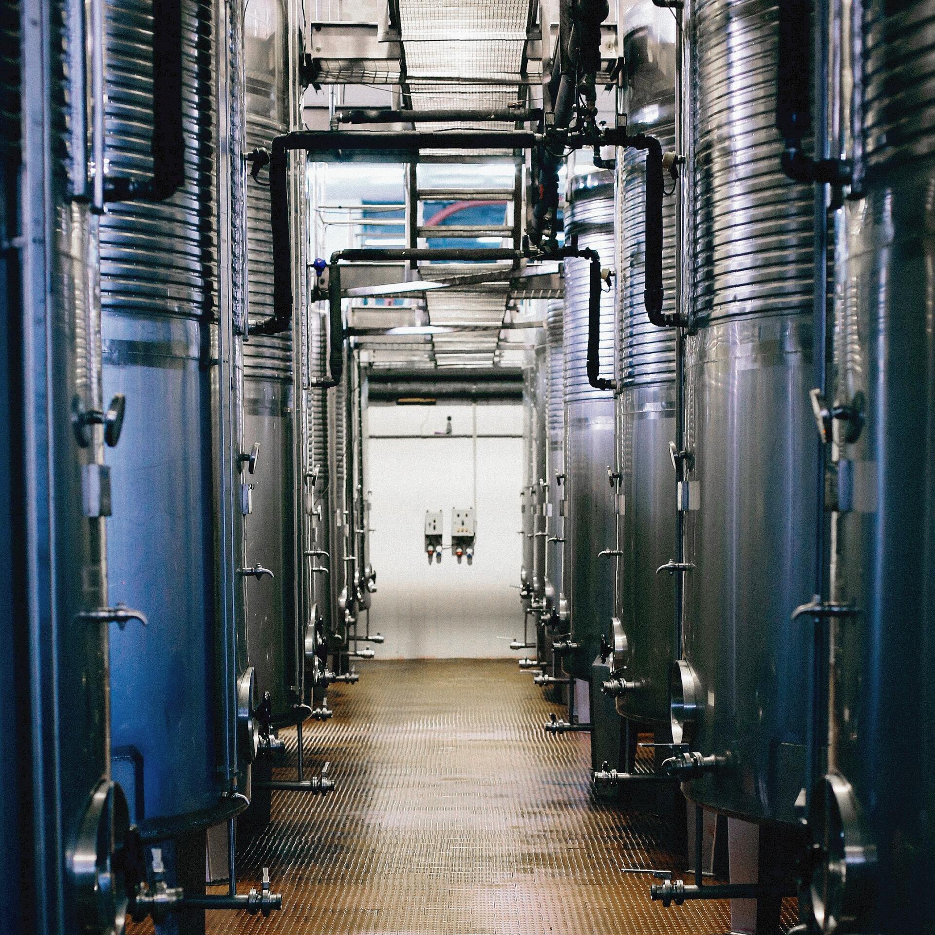 Casa de Vilacetinho – Visita & Prova Avesso