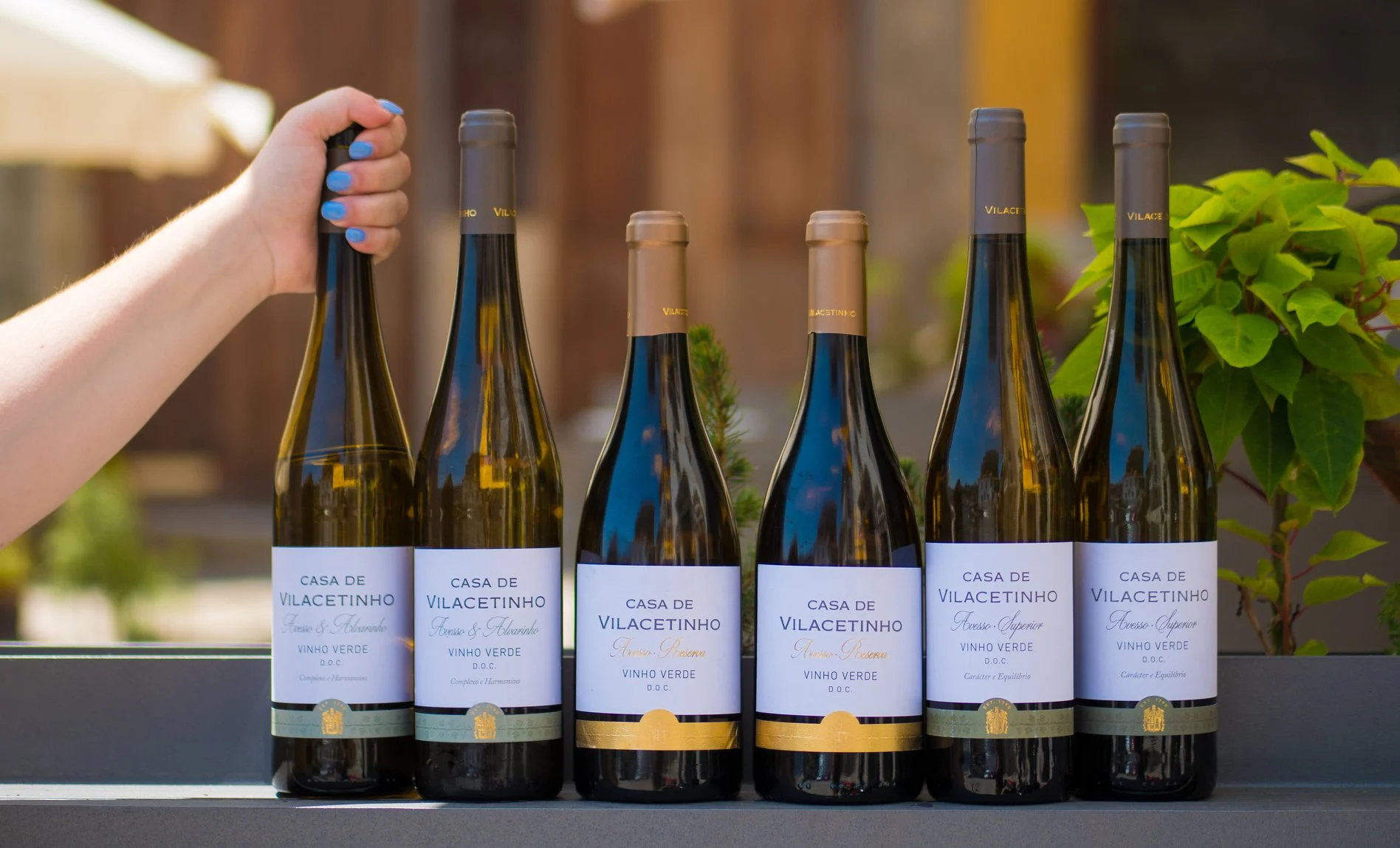 Casa de Vilacetinho – Visita & Prova Completa