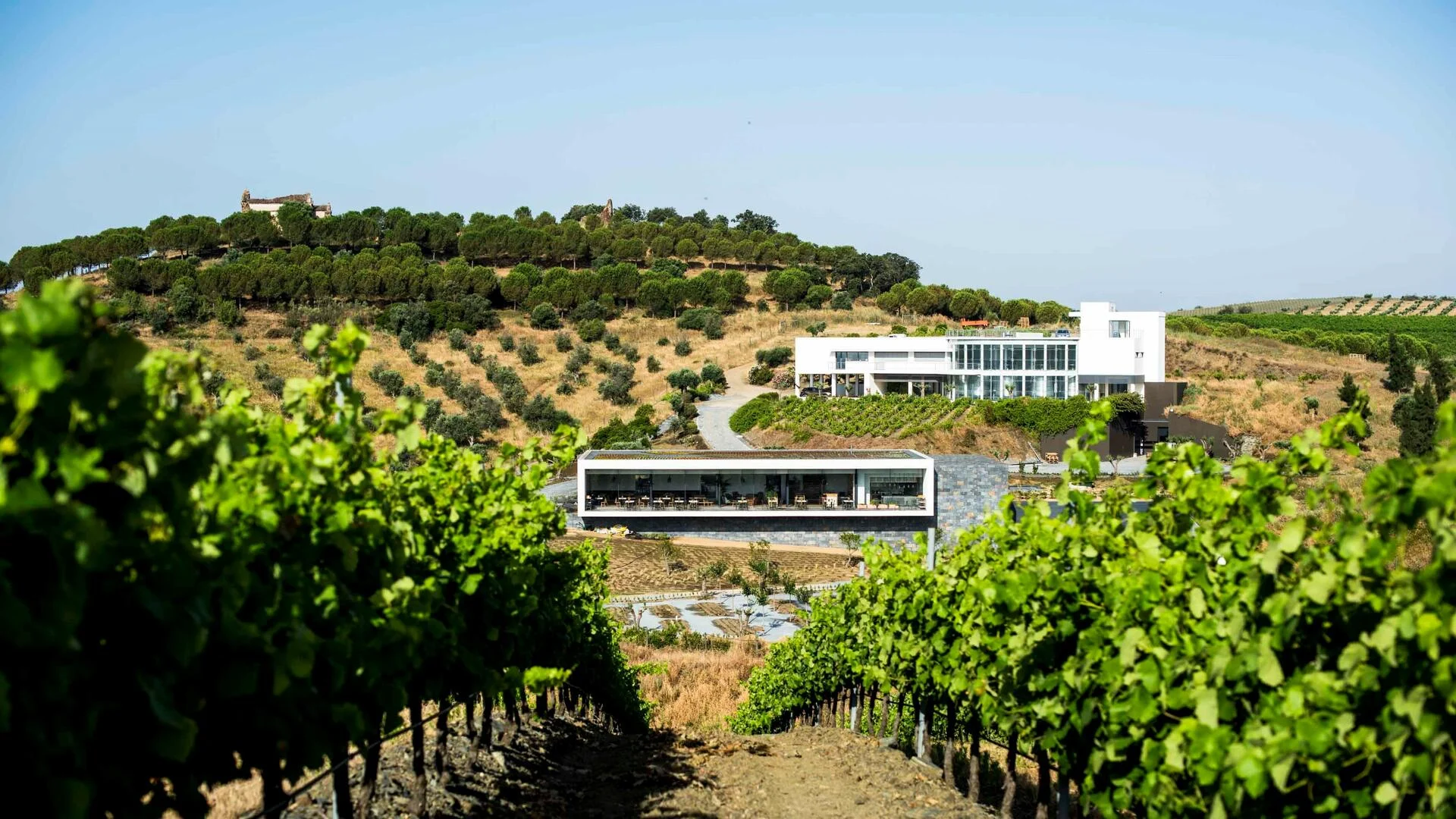 Quinta do Quetzal – Expert