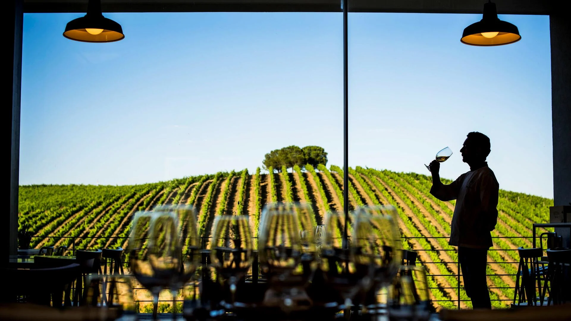 Quinta do Quetzal – Expert