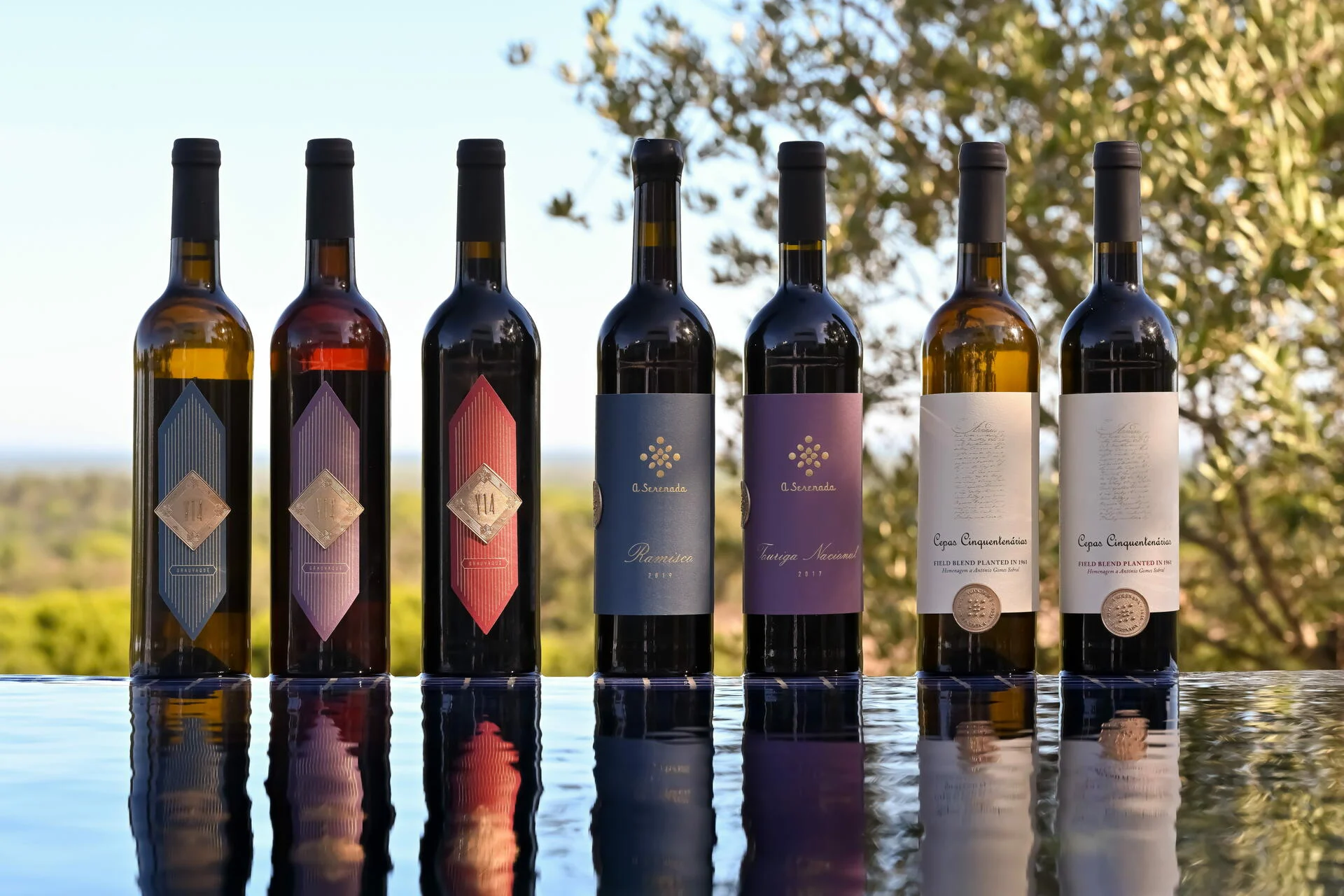 A Serenada – Workshop Vínico