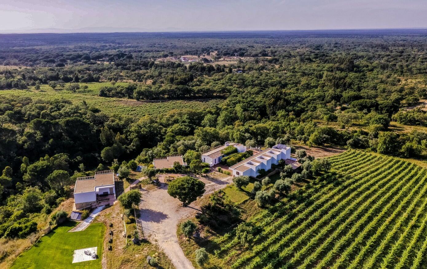 A Serenada – Prova Premium de 3 Vinhos