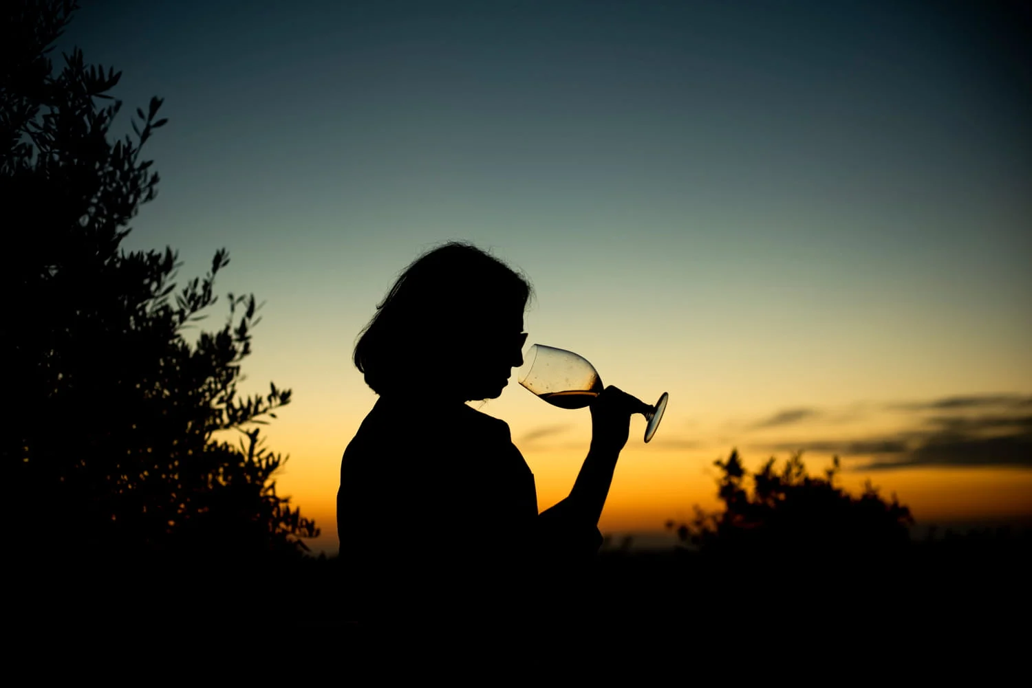 A Serenada – Prova de 3 Vinhos