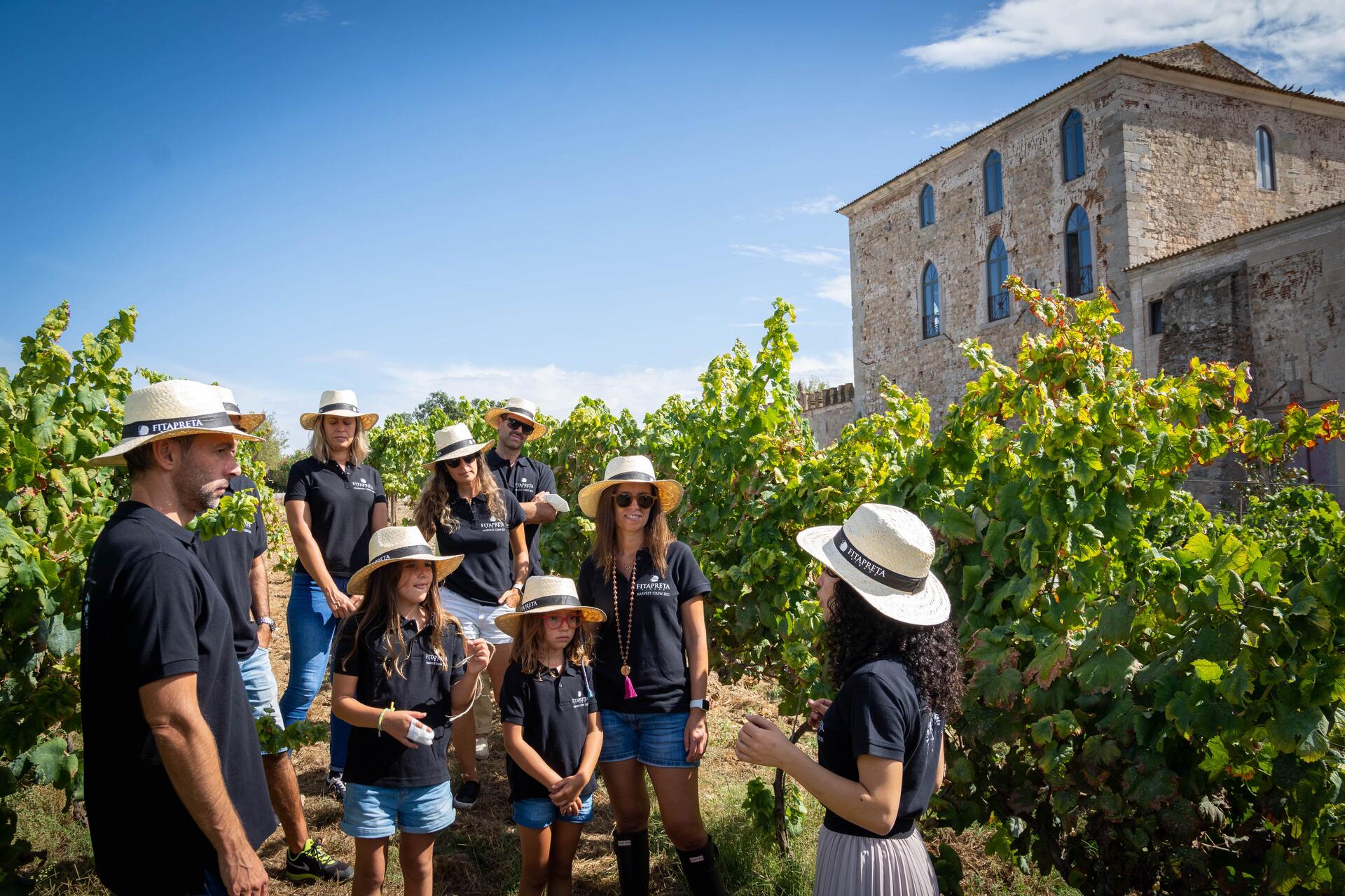 Fitapreta – Programa de Vindima