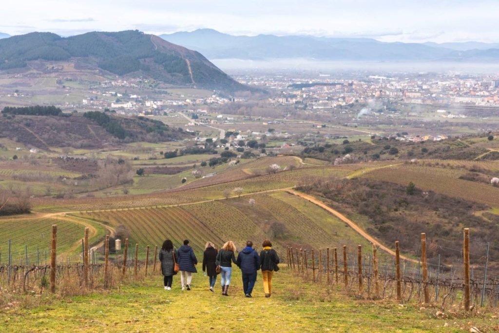 Delve into the secrets of El Bierzo