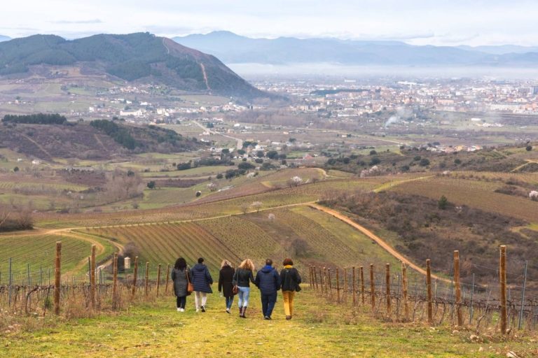 Delve into the secrets of El Bierzo